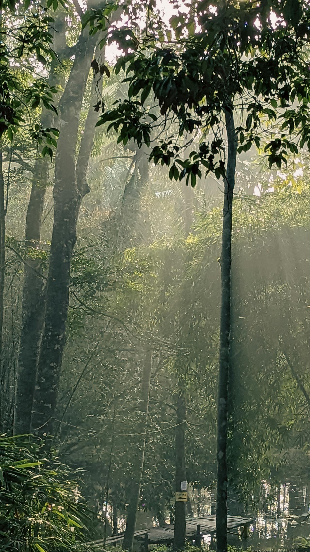 Cẩm nang du lịch Nam Định