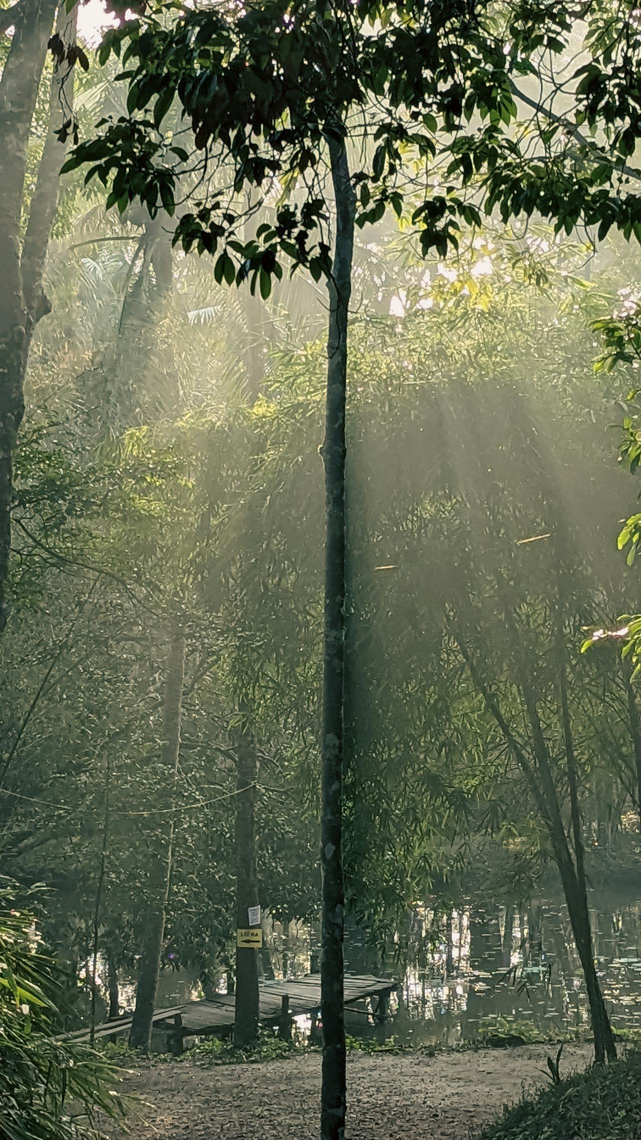 Lịch sử động vật có vú là lịch sử con người