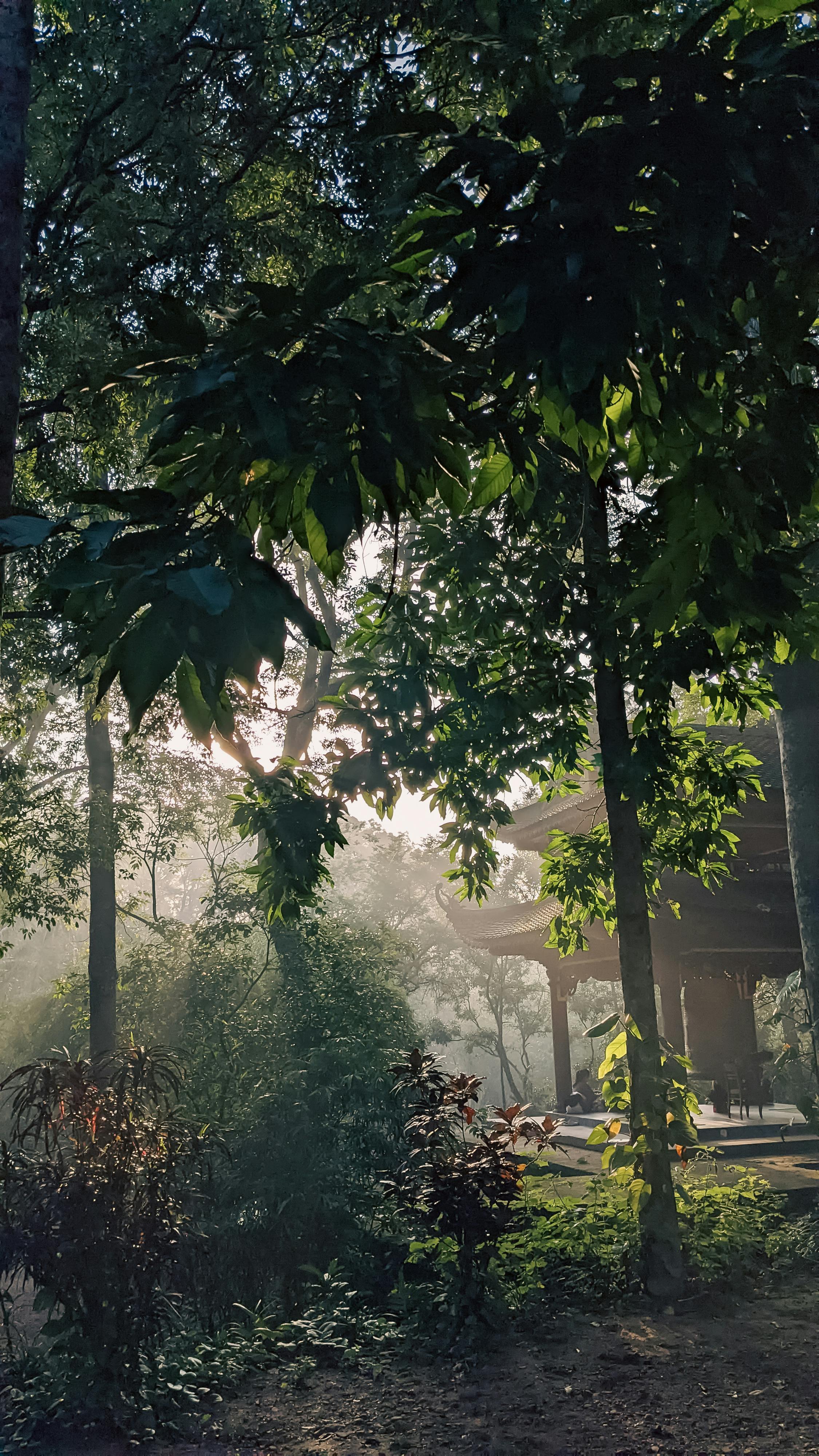 5 cách động vật tiến hóa trước tác động con người 059 – khoa hoc, sinh hoc, tien hoa, thich nghi tien hoa, dong vat thich nghi.