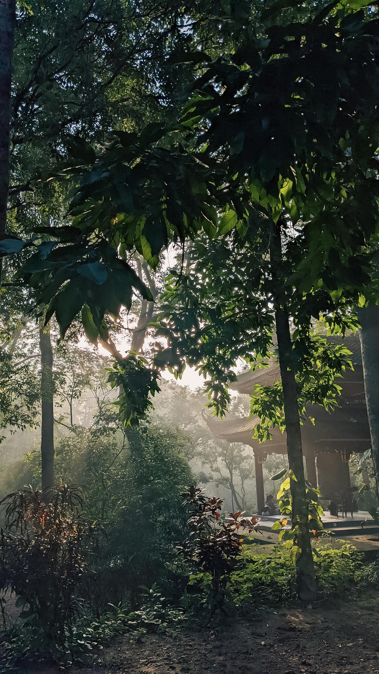 Kênh bán phòng khách sạn và chiến lược áp dụng