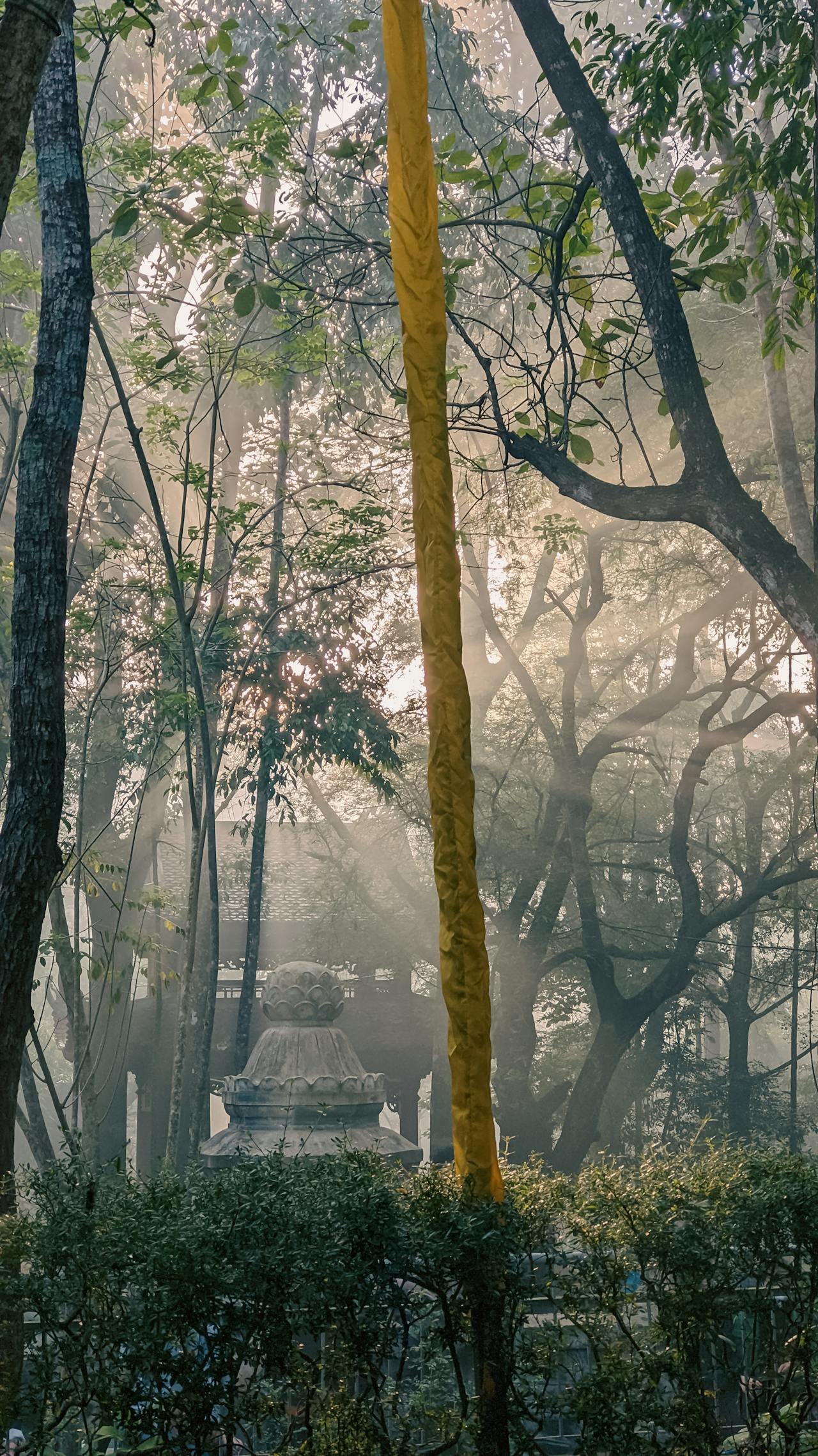 Ranh giới của tri giác con người