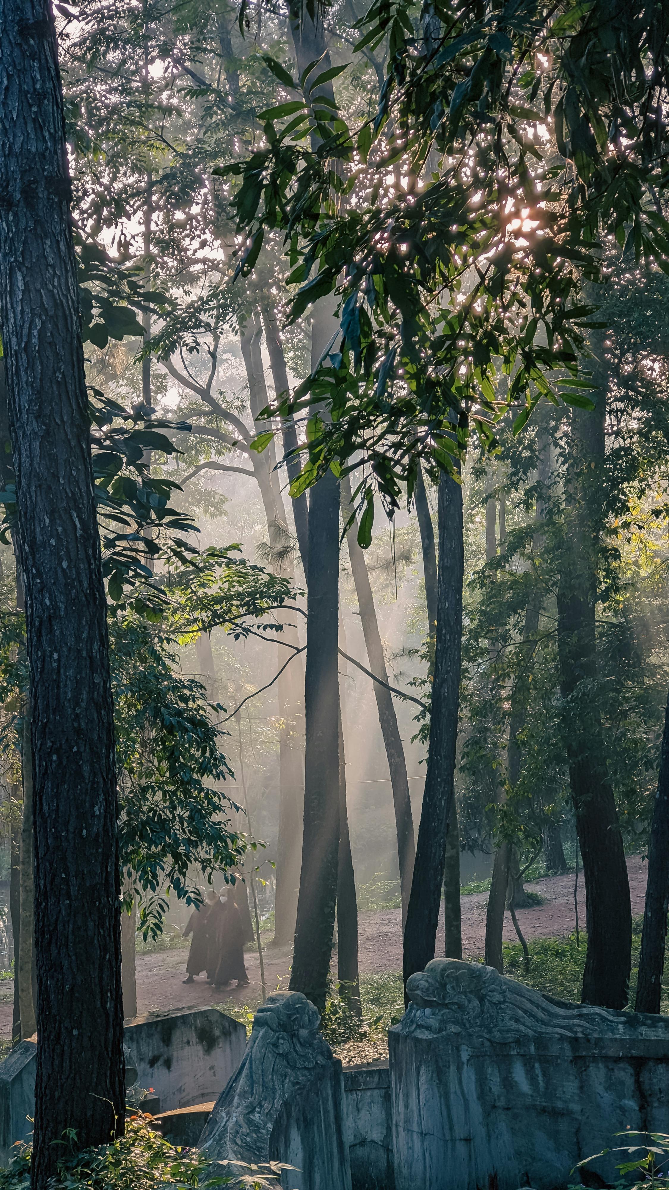 Điều gì làm cho một người trở thành anh hùng? 353 – tam ly hoc, ton giao, phat giao, triet hoc, chu nghia anh hung, anh hung.