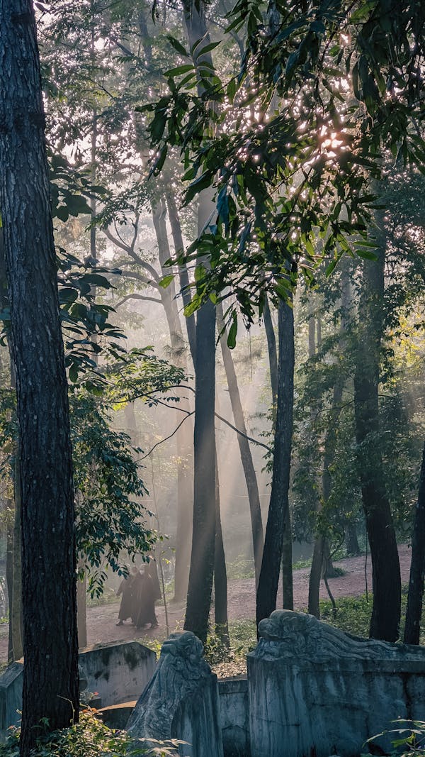Trung tâm nghiên cứu văn học, phát triển nhà văn Việt Nam