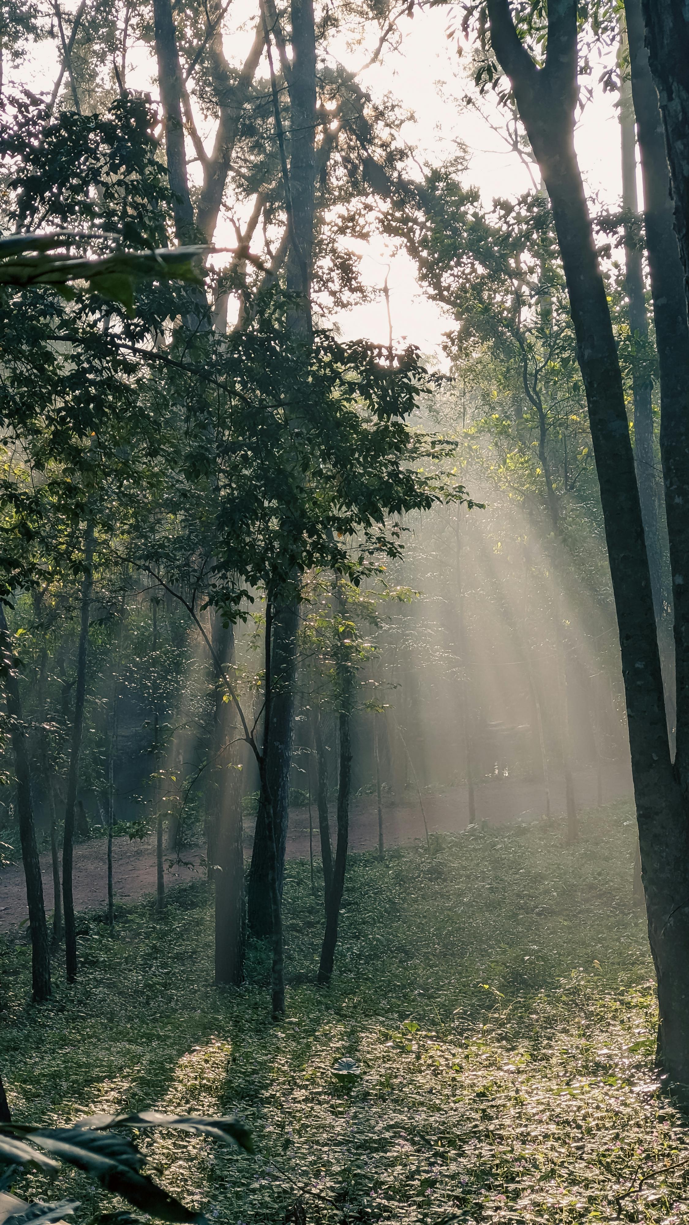 Trung tâm nghiên cứu văn học, phát triển nhà văn Việt Nam