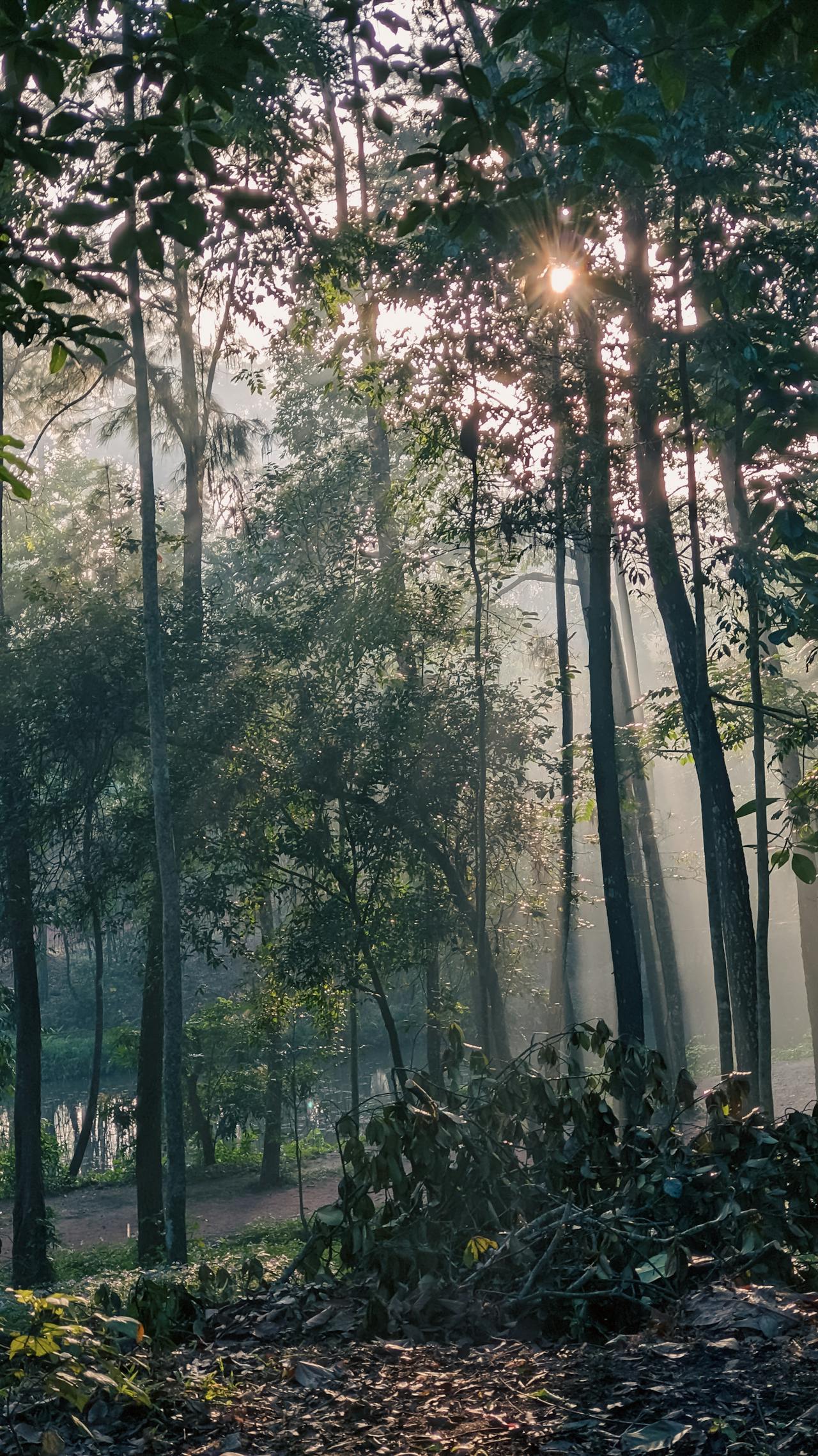 Chuyện chức Phán sự đền Tản Viên