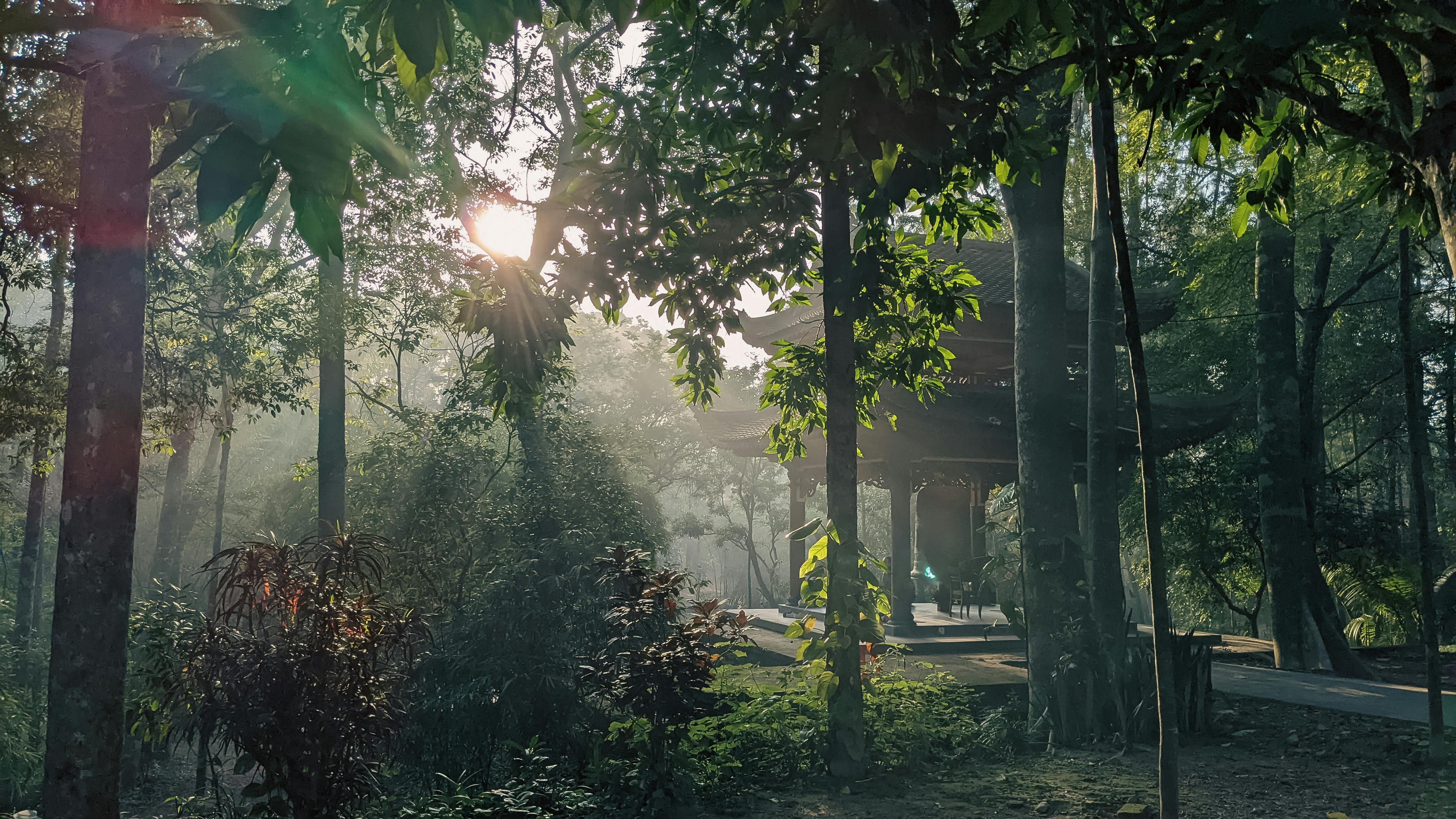 Trung tâm nghiên cứu văn học, phát triển nhà văn Việt Nam