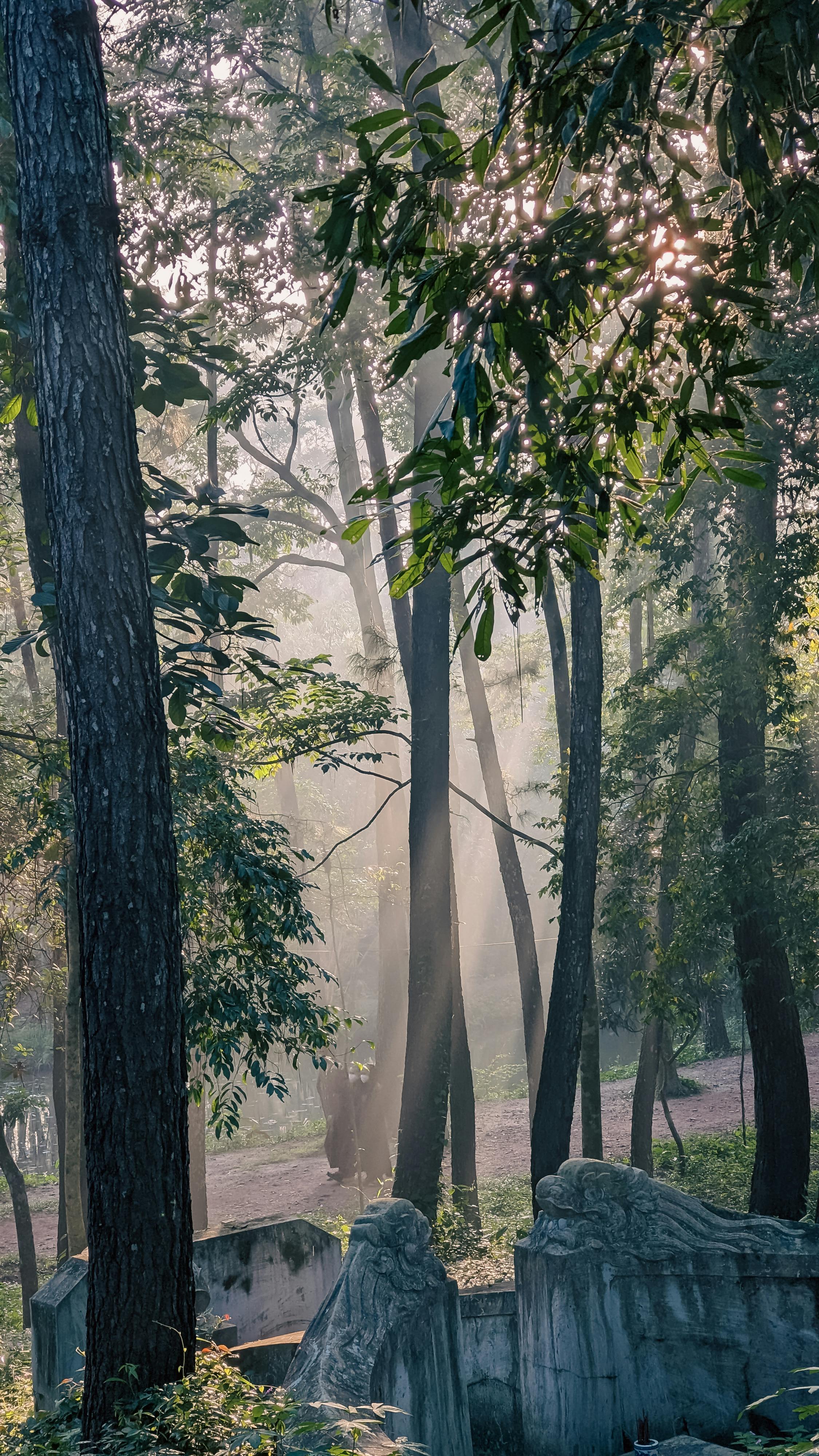 Danh sách theo thẻ an-ninh-mang