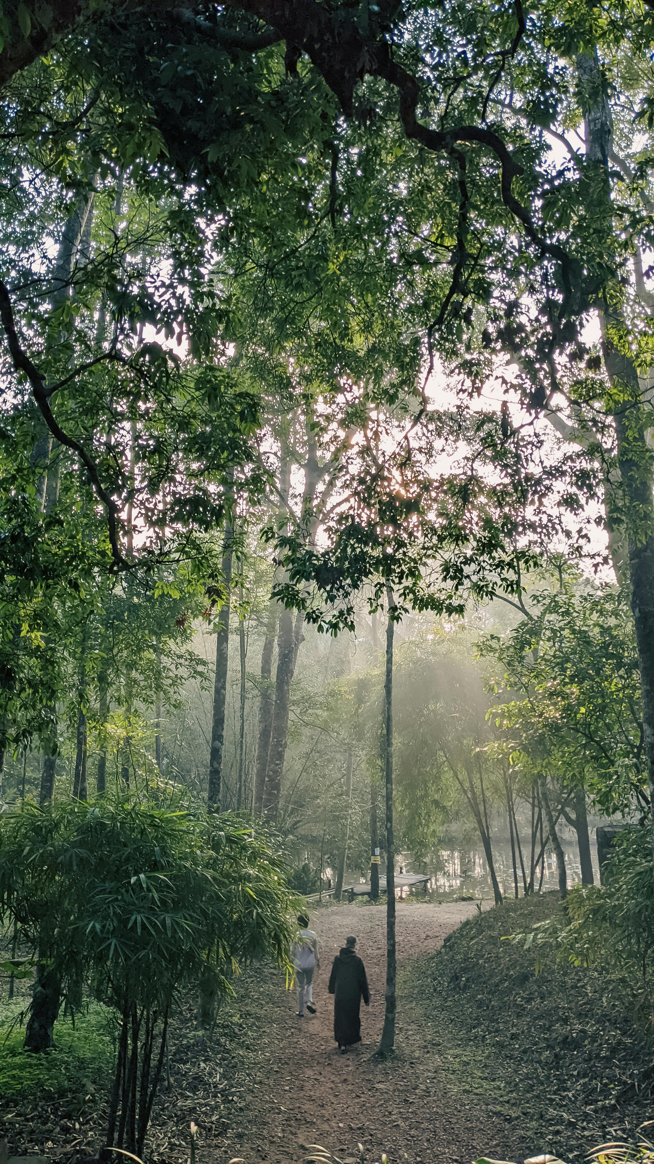 Bản ngã là gì? 539 – xa hoi hoc, tam ly hoc, tu duy, triet hoc, panpsychism, chu nghia hien sinh, ban nga, cai toi.