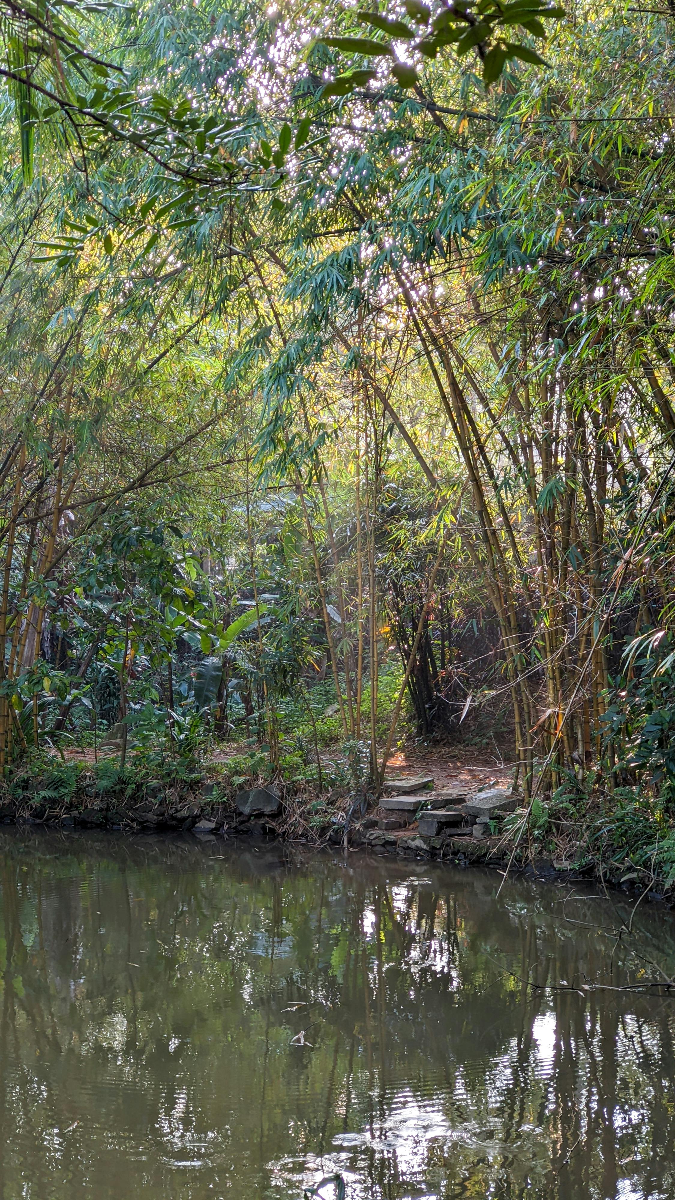 Trung tâm nghiên cứu văn học, phát triển nhà văn Việt Nam