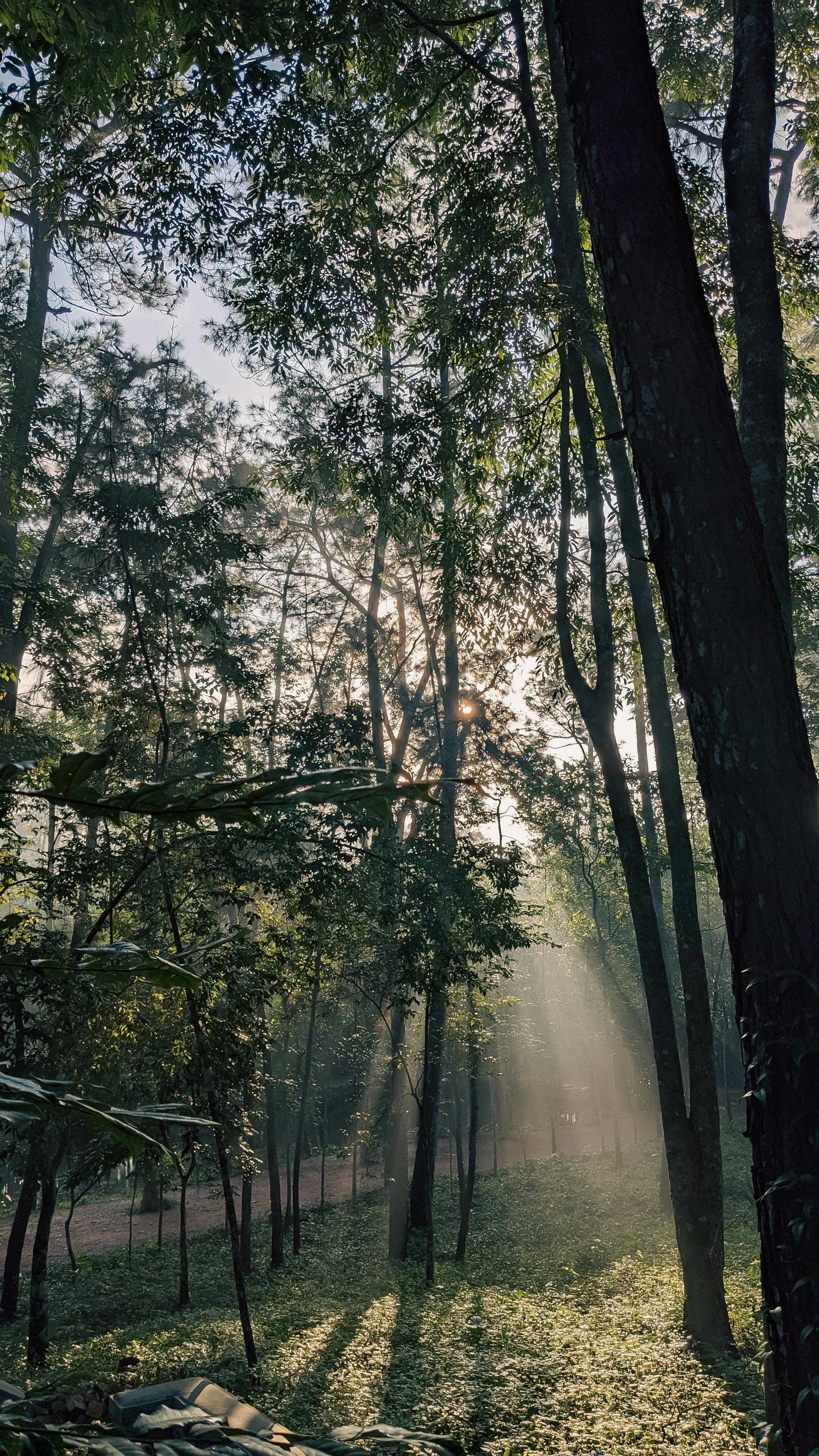 Danh sách theo thẻ bai-van-nghi-luan-mau-lop-6