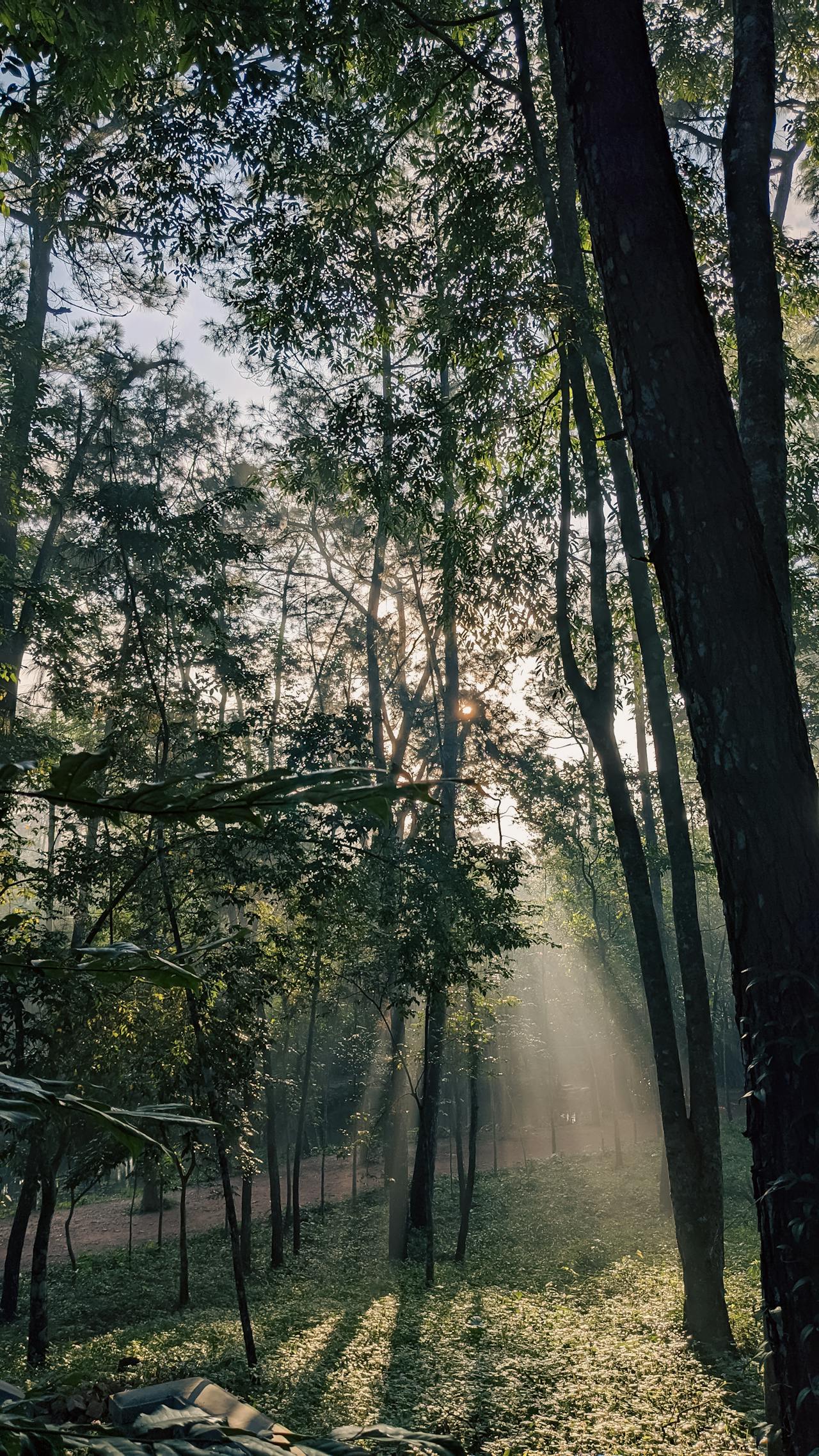 Hiểu về trái tim | Chương 39