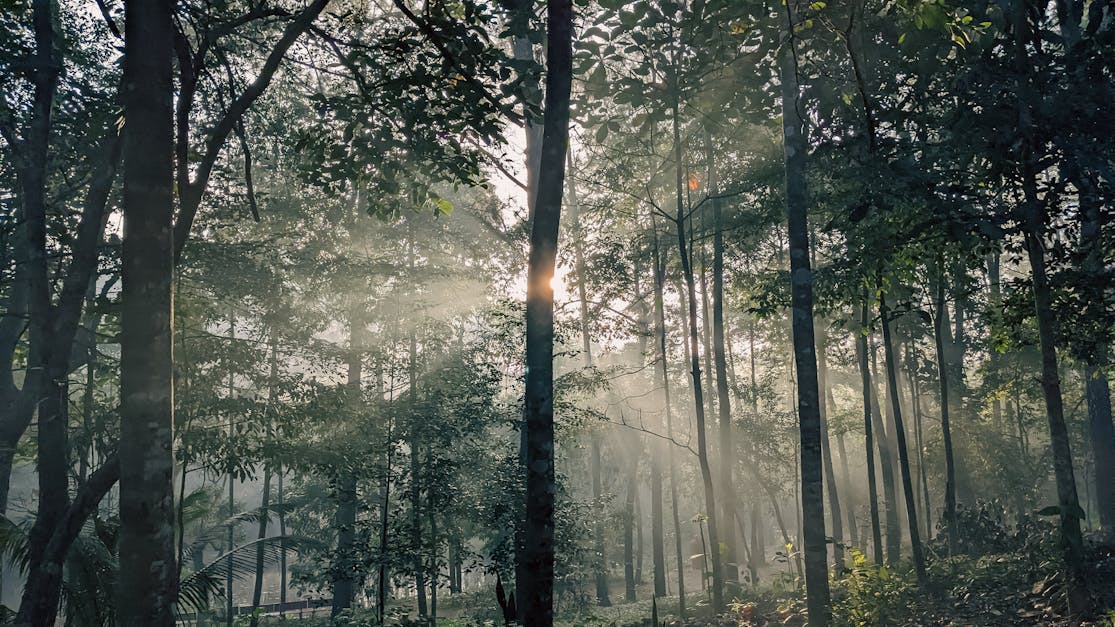 Project Portfolio Office