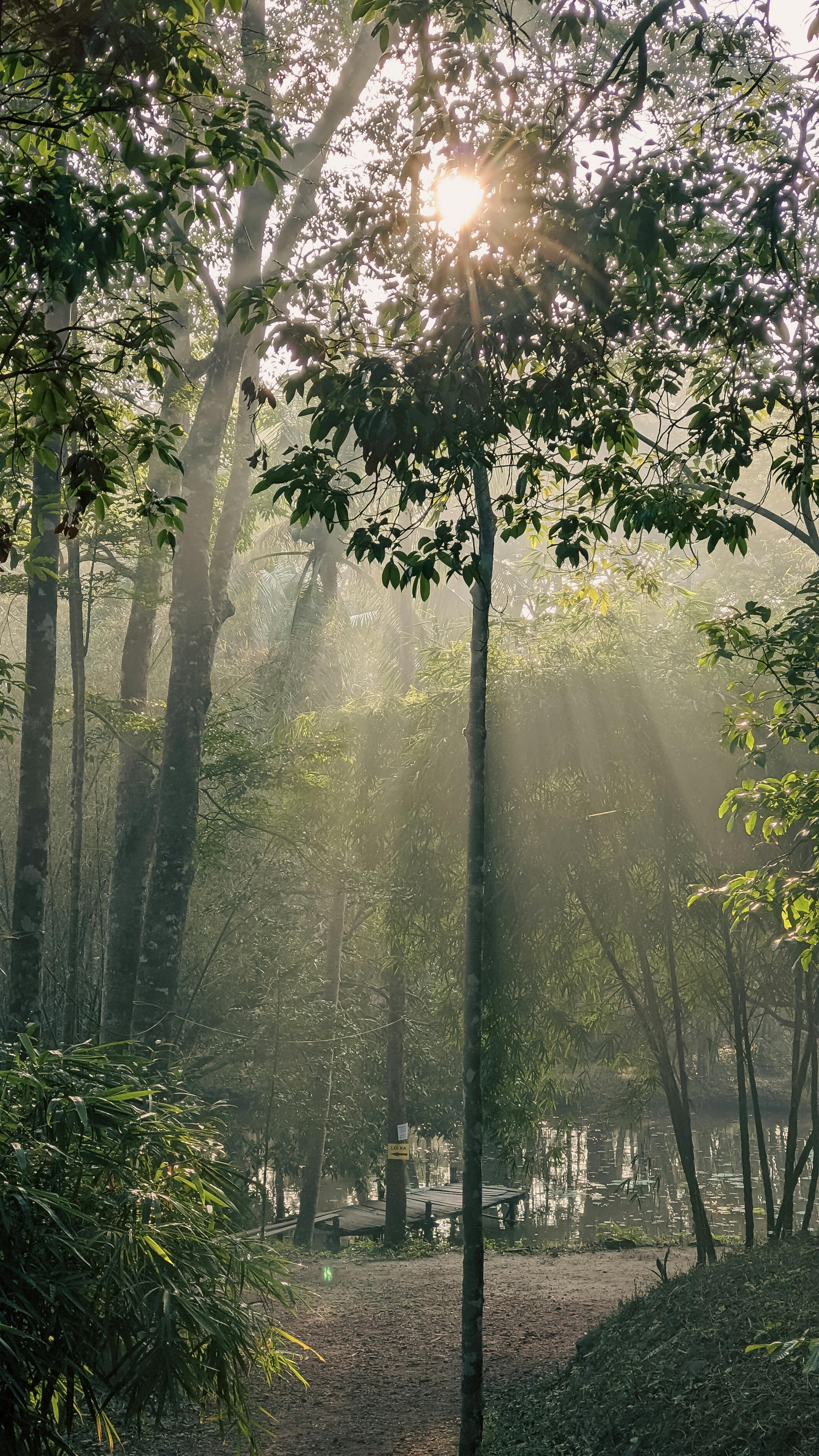 Cuộc sống như thế nào ở những nơi khác trong vũ trụ? 854 – vat ly hoc, vat ly luong tu, vu tru hoc, ufo, cuoc song vu tru.