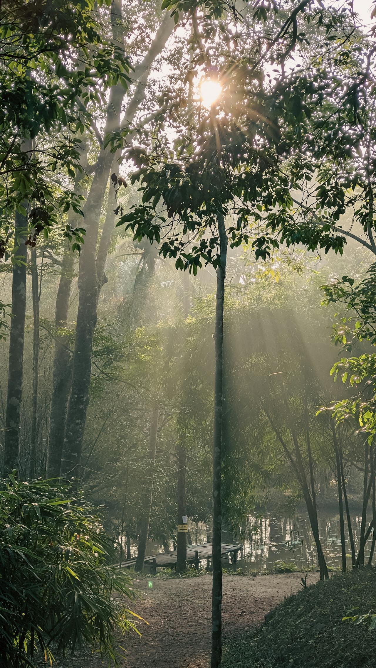 Sự quên lãng chuyến bay của anh em nhà Wright