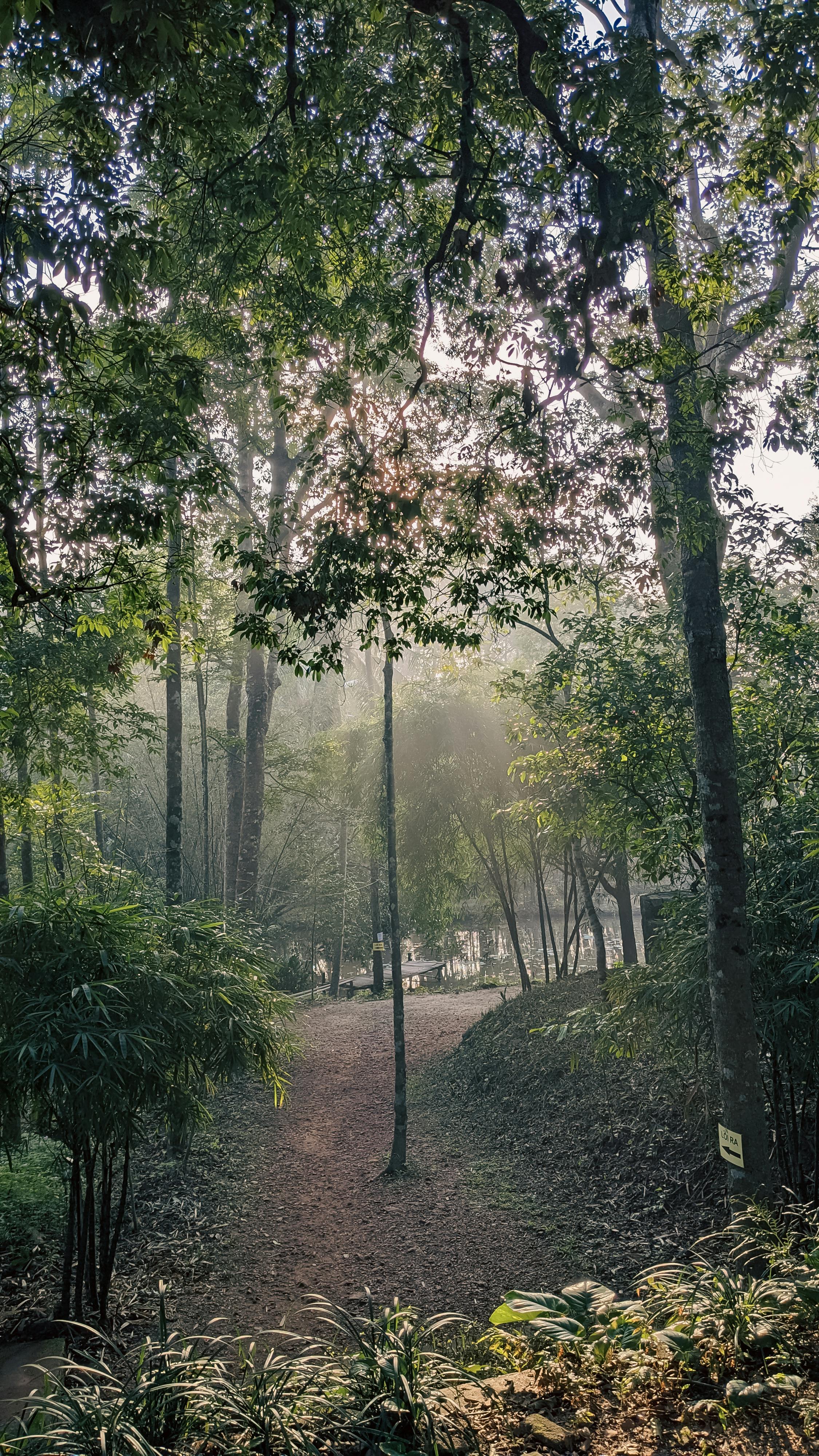 Trung tâm nghiên cứu văn học, phát triển nhà văn Việt Nam