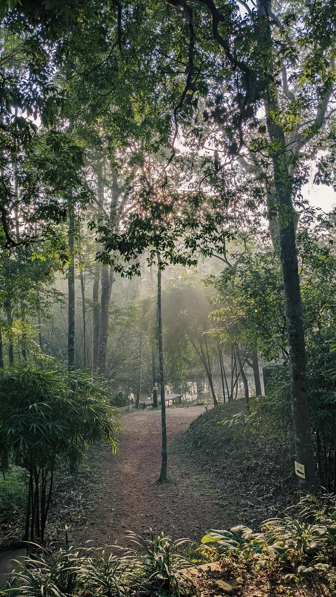 Thiên long bát bộ | Chương 18