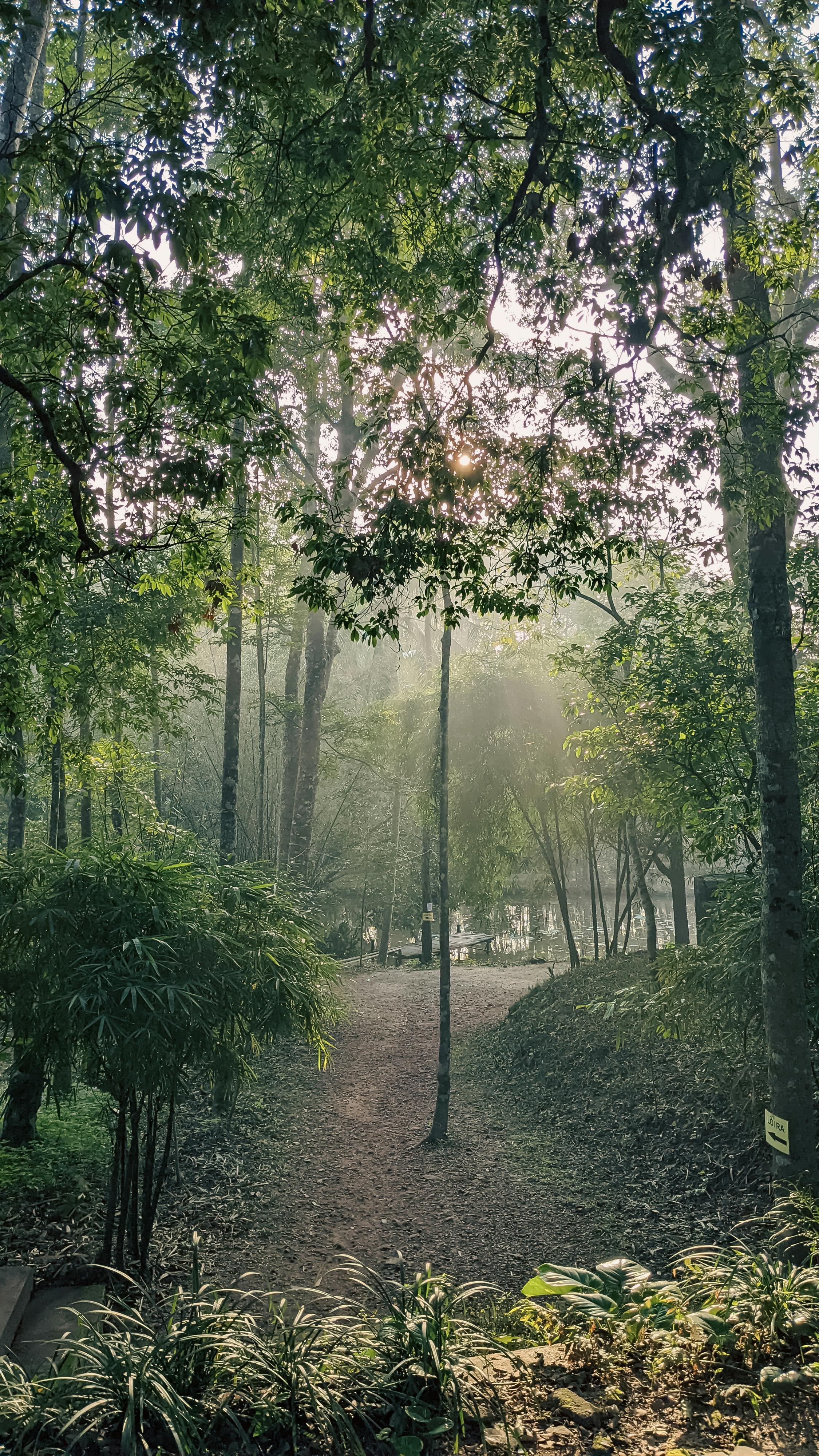 Trung tâm nghiên cứu văn học, phát triển nhà văn Việt Nam