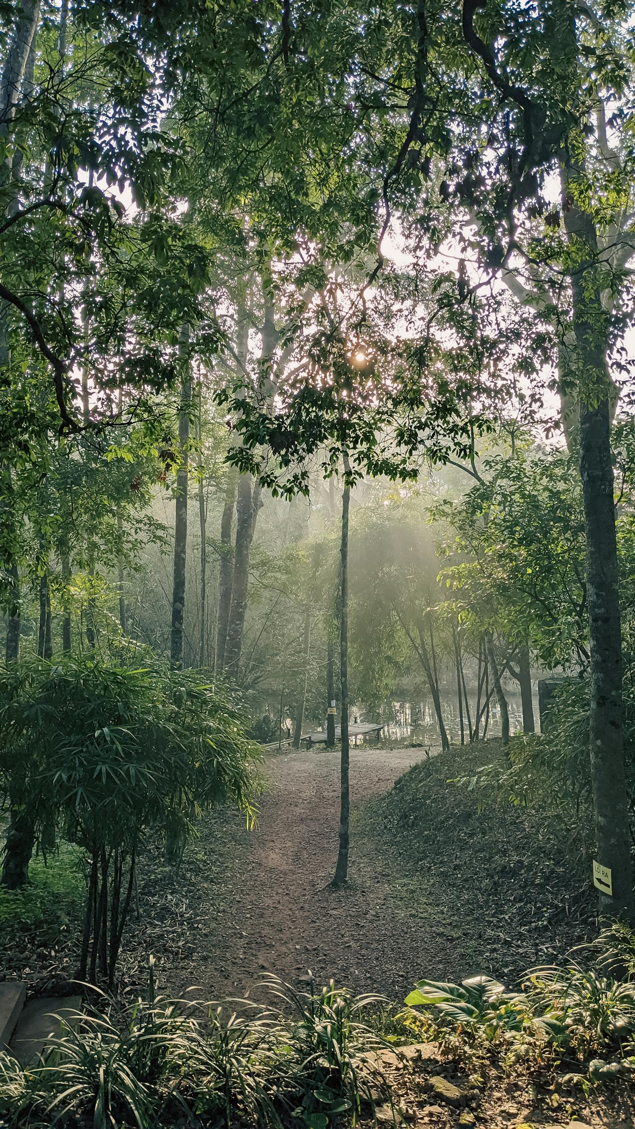 Biên niên ký chim vặn dây cót | Chương 04