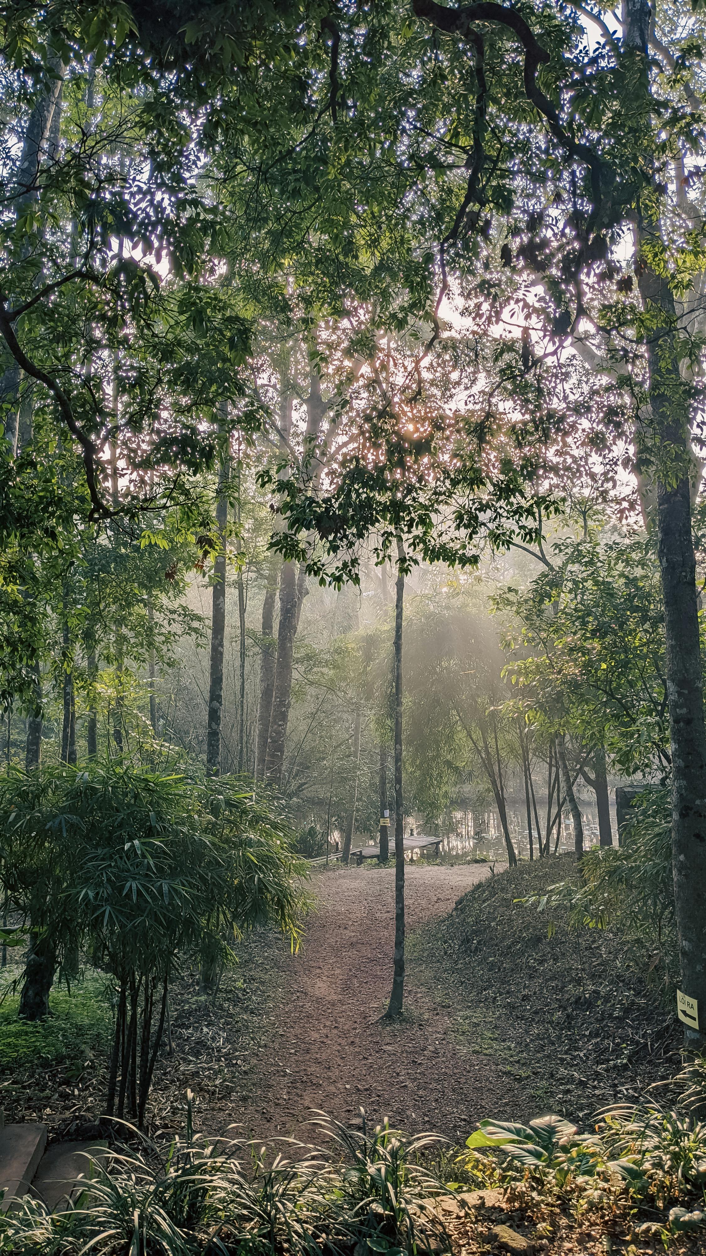 Trung tâm nghiên cứu văn học, phát triển nhà văn Việt Nam