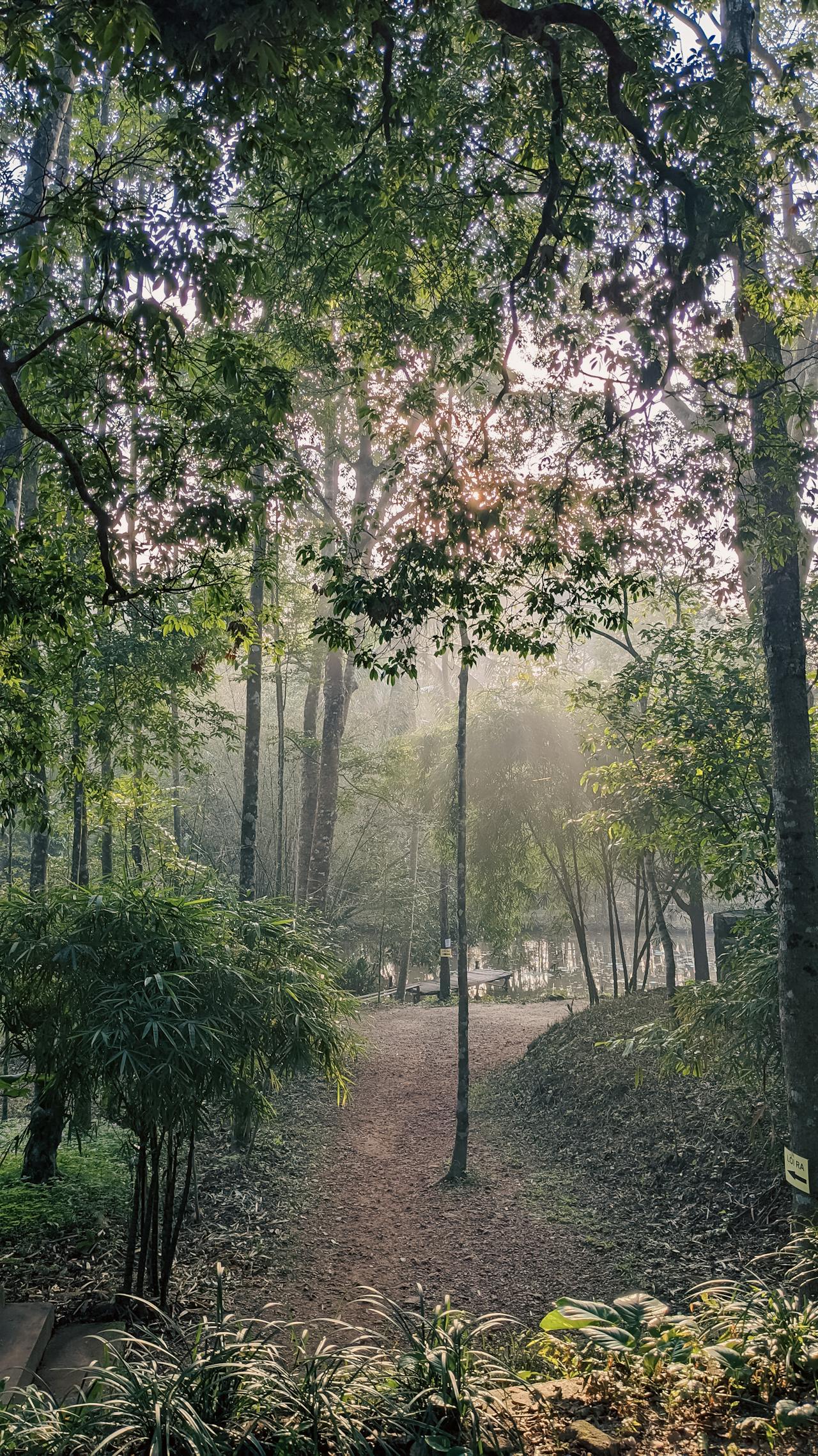 Yugen Phật giáo giúp cảm nhận sự huyền bí