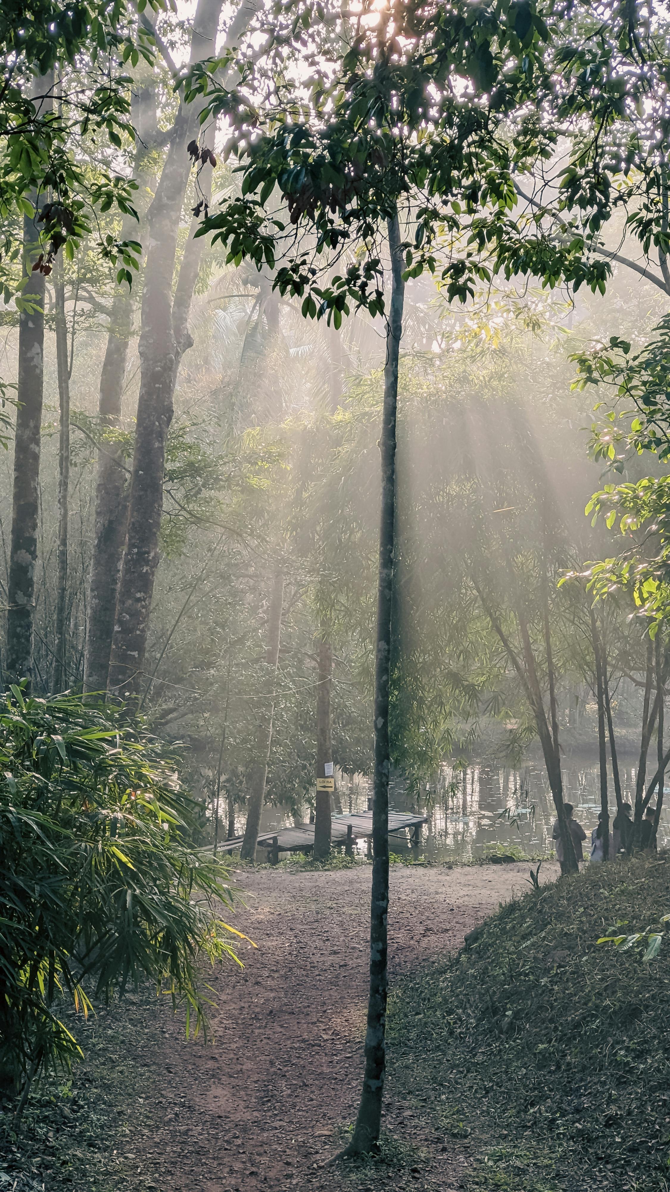 Quyết tâm năm mới có ý nghĩa nếu tương lai định sẵn 243 – tam ly hoc, ton giao, phat giao, triet hoc, tuong lai, tu do y chi, hanh vi, quyet tam nam moi.