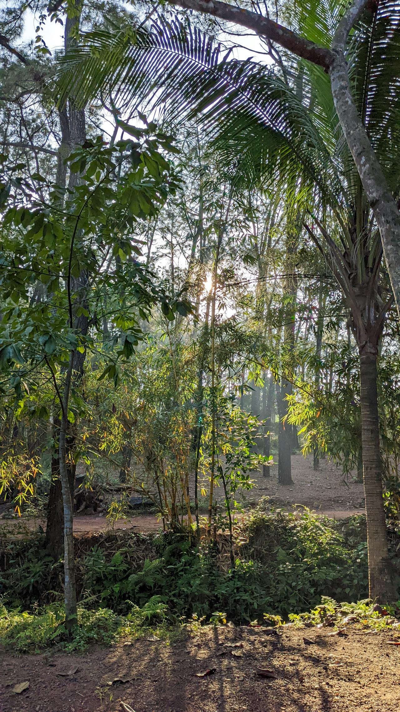 Thám tử lừng danh Conan | Chương 0050