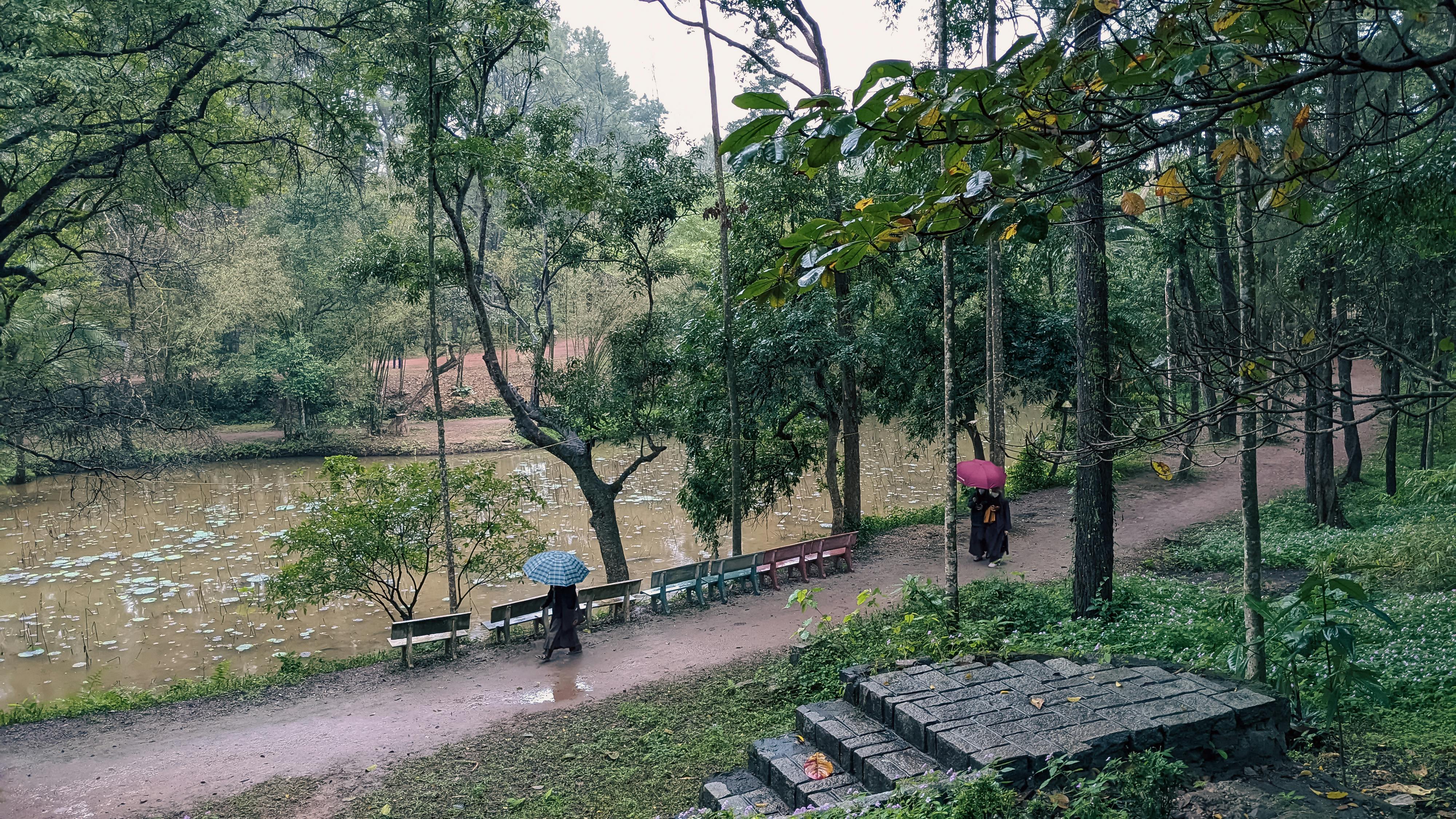 Trung tâm nghiên cứu văn học, phát triển nhà văn Việt Nam