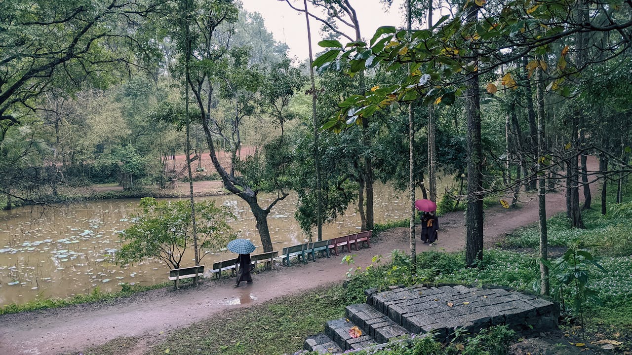 Gieo trồng hạnh phúc | Chương 37