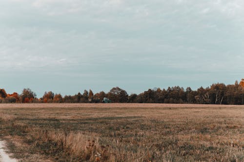Free stock photo of agriculture, atmosphere, autumn