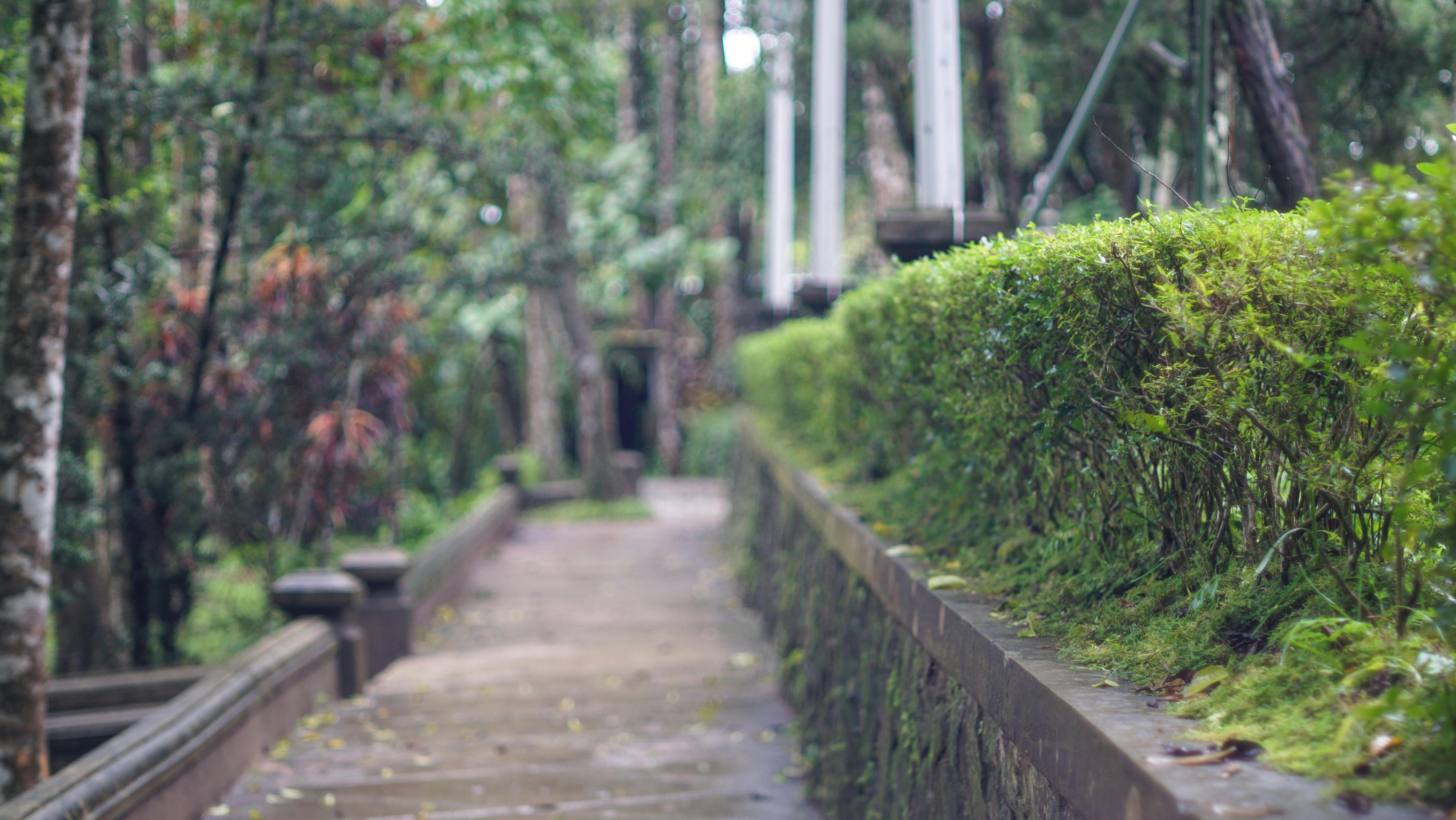 Chảy đi sông ơi 052 – thu vien, van hoc, van hoc viet nam, tho ca, nguyen huy thiep, truyen ngan, chay di song oi.