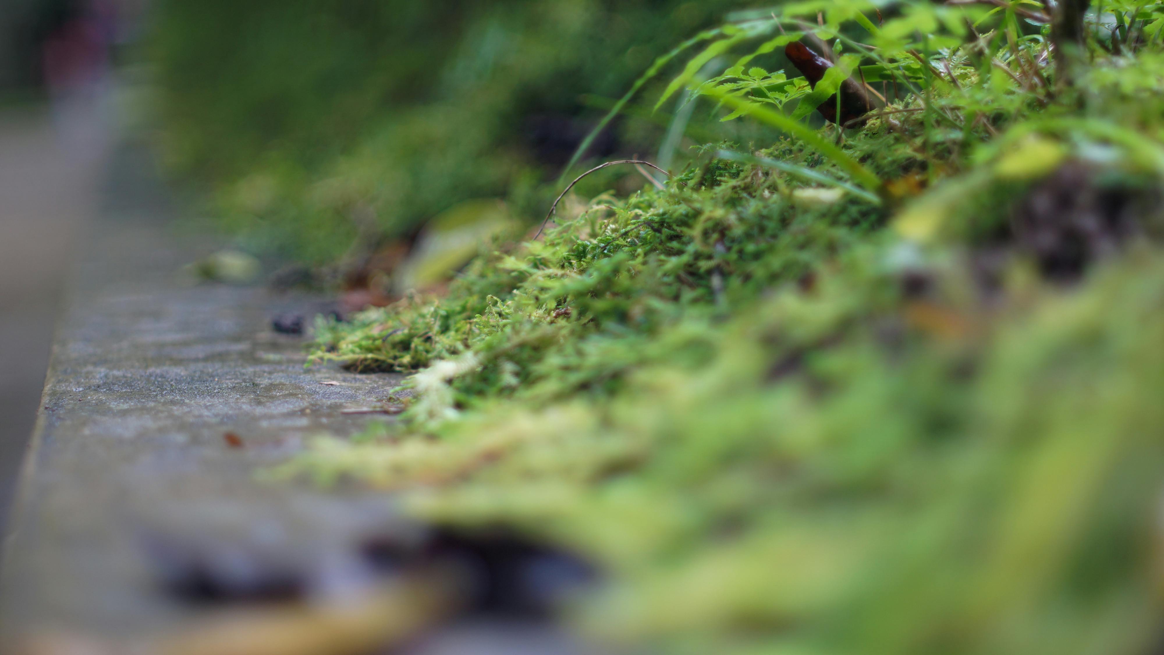 Danh sách theo thẻ triet-hoc, trang 2