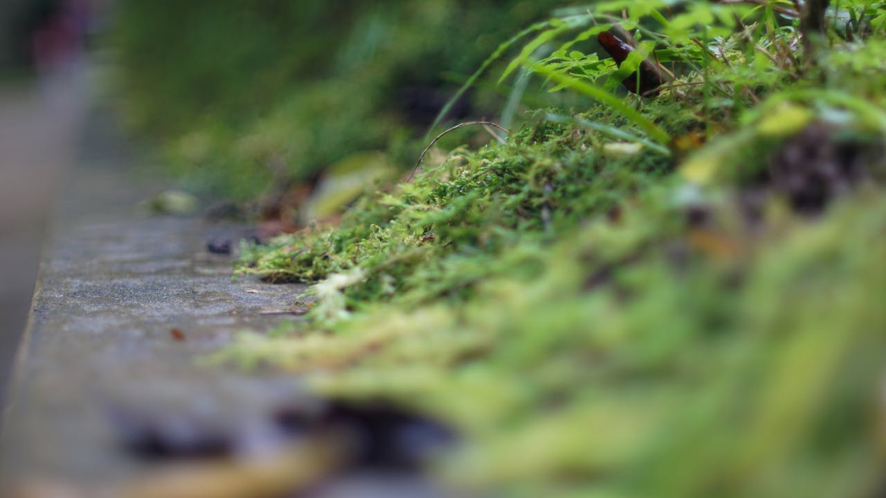 NFT không phải bong bóng, hiểu giá trị thật