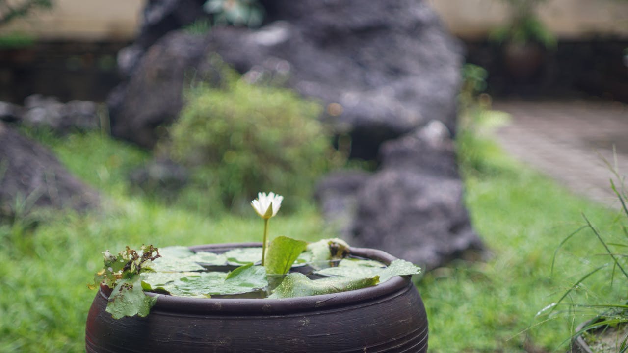 Edgar William Wilson