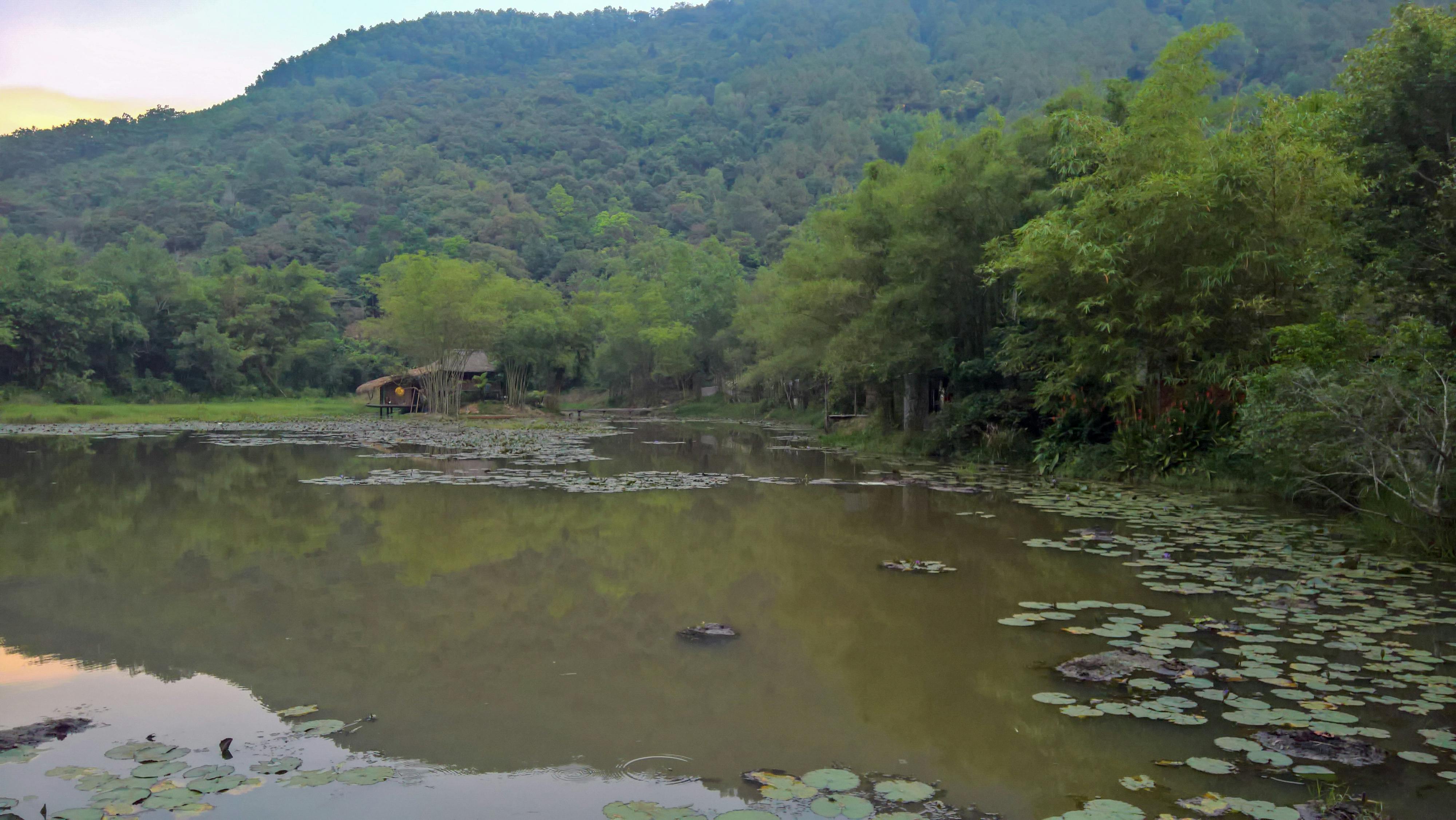 Trung tâm nghiên cứu văn học, phát triển nhà văn Việt Nam