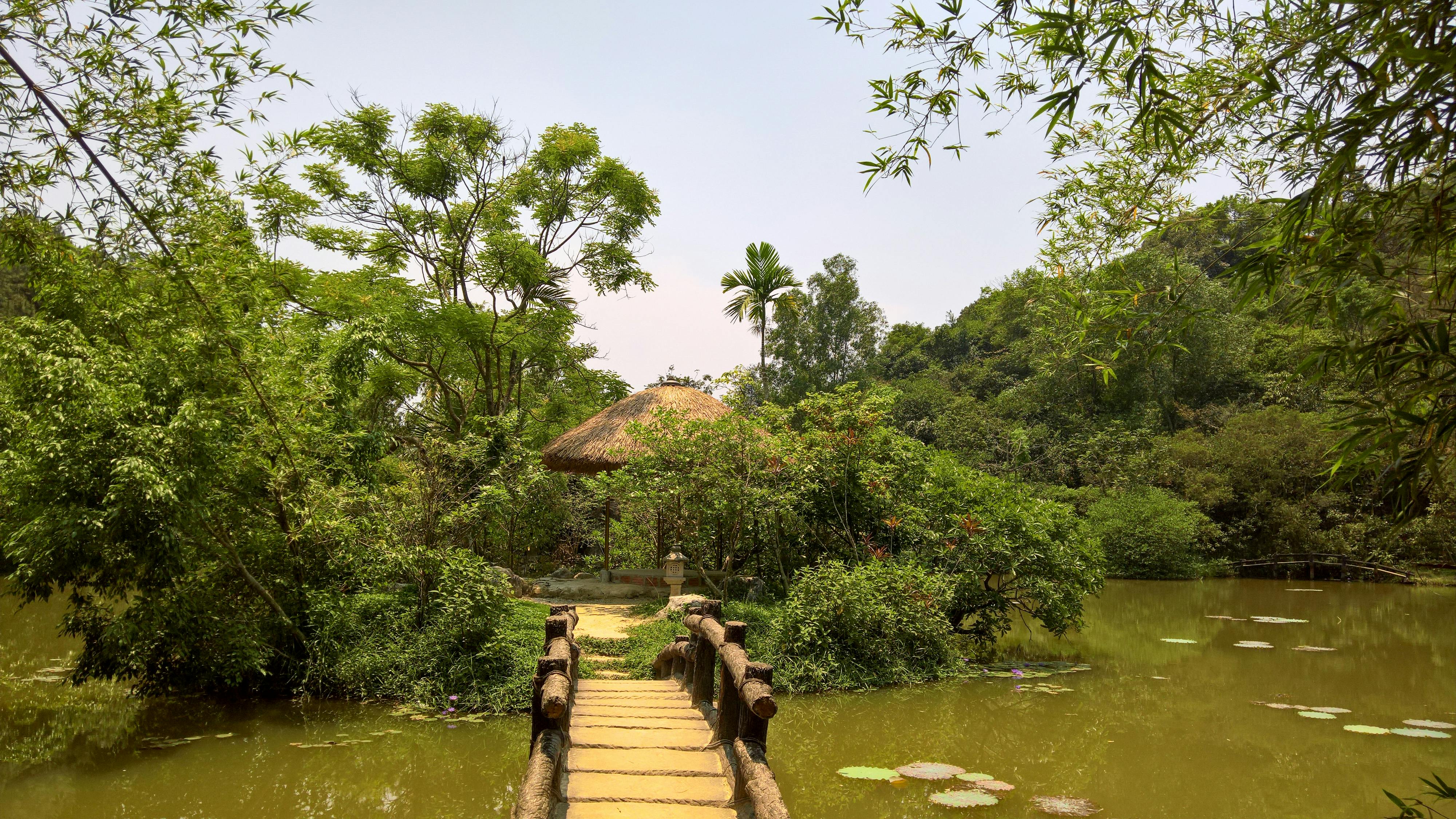 Trung tâm nghiên cứu văn học, phát triển nhà văn Việt Nam