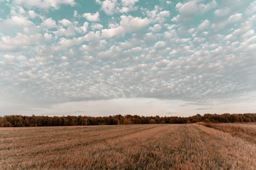 grátis Uma Terra Agrícola Sob Um Céu Nublado Foto profissional