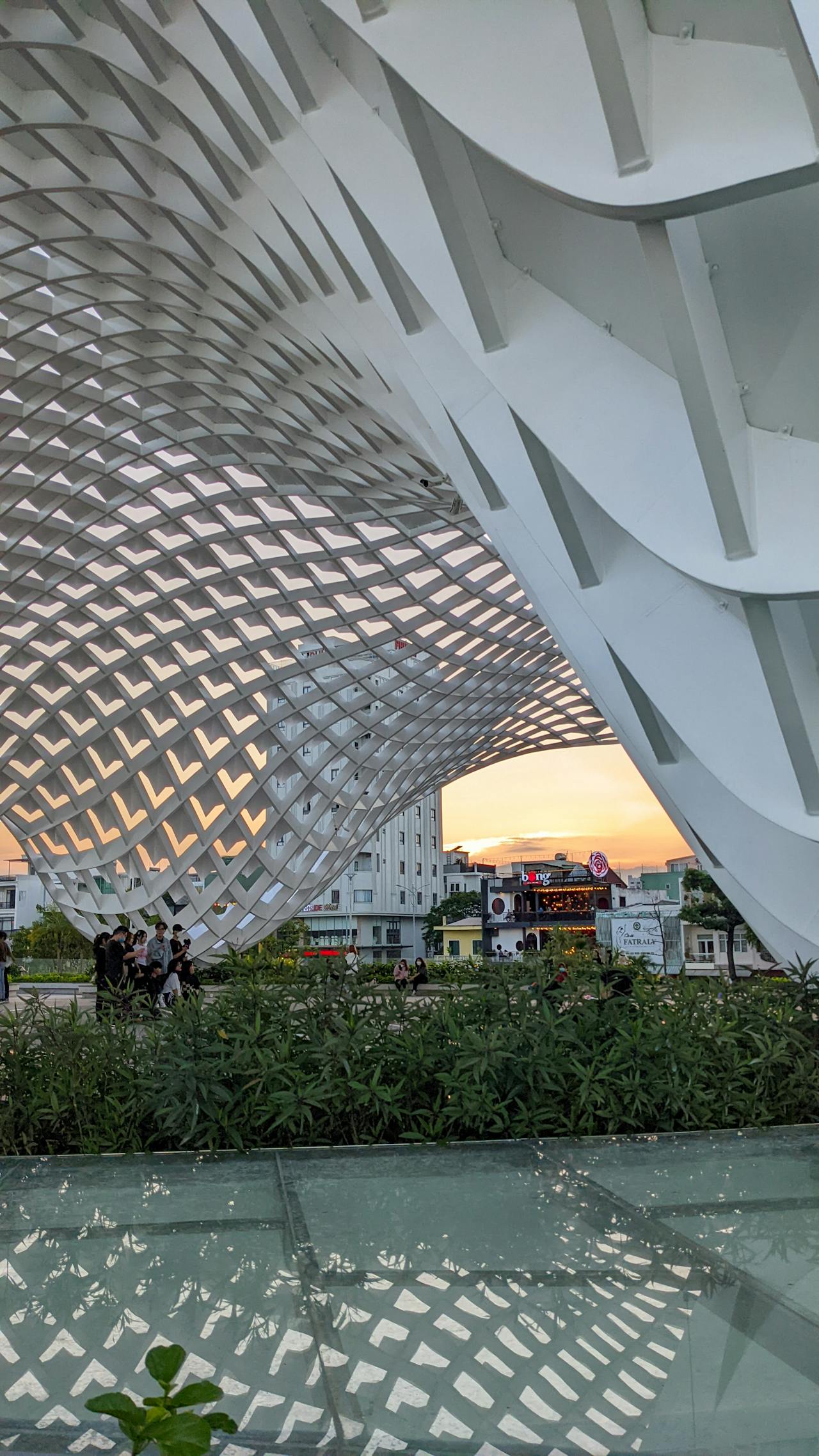 Các vấn đề về rối loạn thần kinh ở mèo