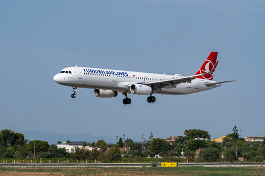 Airbus S.a.s A321-211 (Airbus) (representative image)