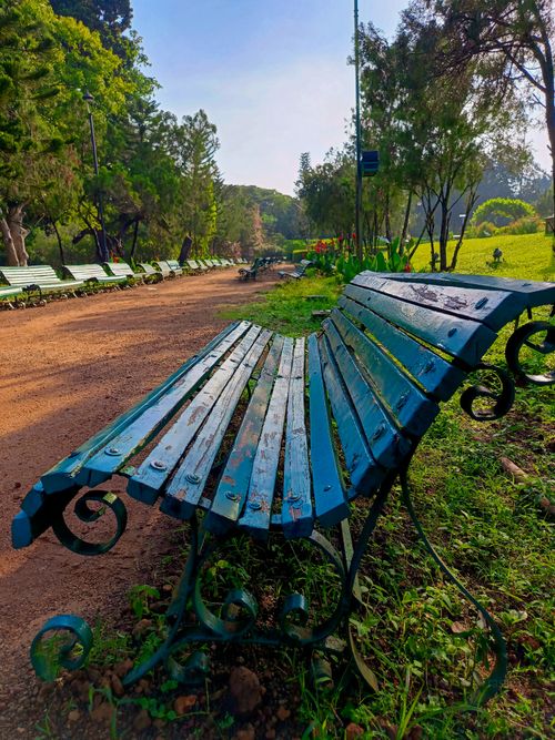 Free the park Stock Photo