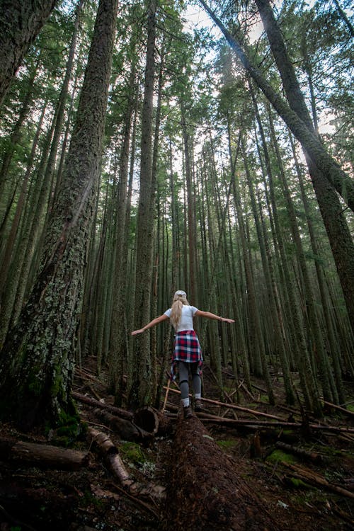 Free Back View of a Woman Walking on a Log in the Forest Stock Photo