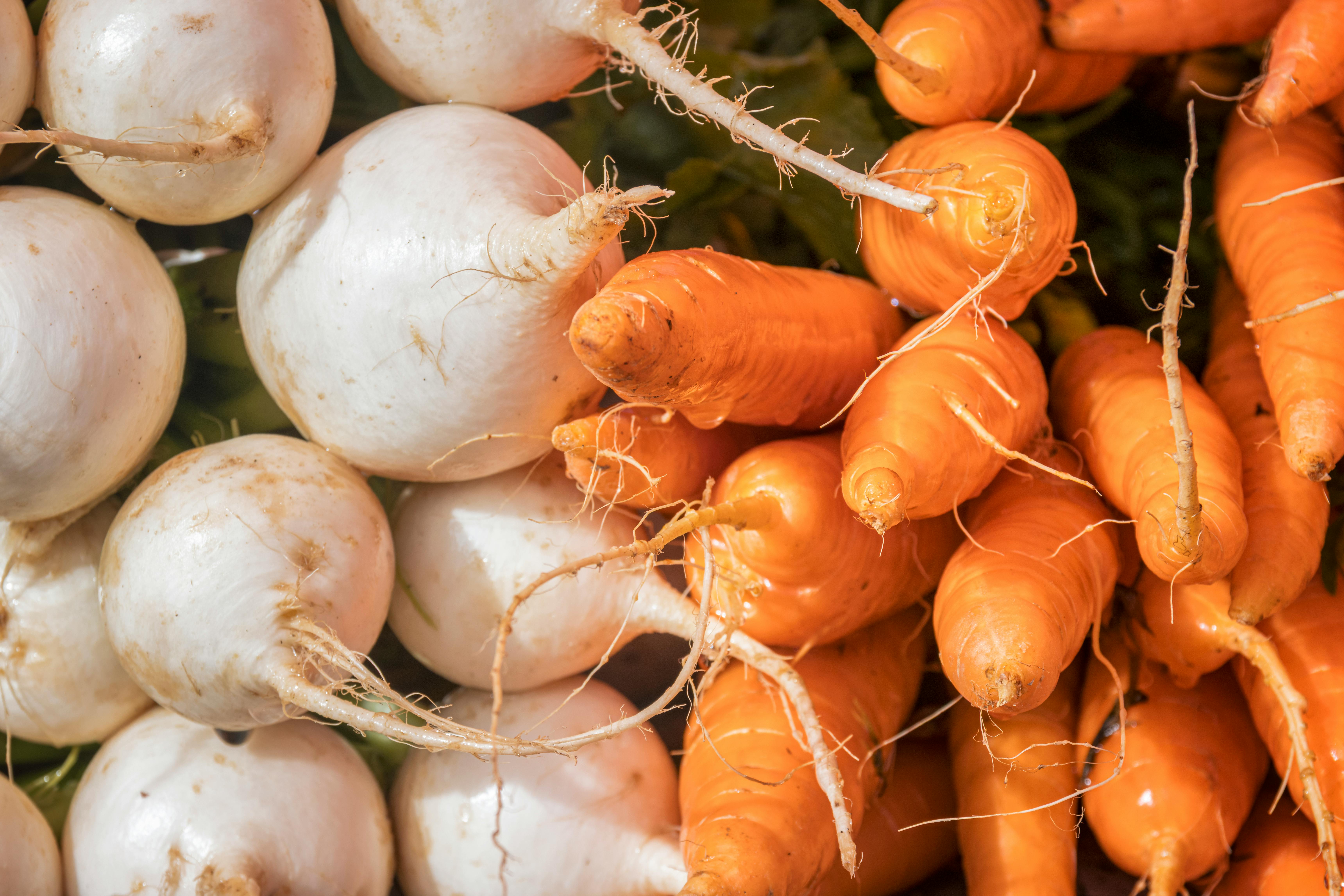 Close-up of vibrant carrots and turnips at a local market, showcasing freshness.