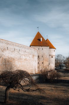 Historic stone walls of Tallinn's medieval castle with orange rooftops under a calm sky.