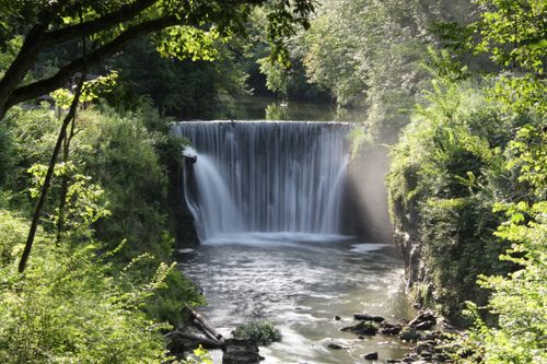 Free Peaceful waterfall surrounded by lush greenery under bright summer light. Stock Photo