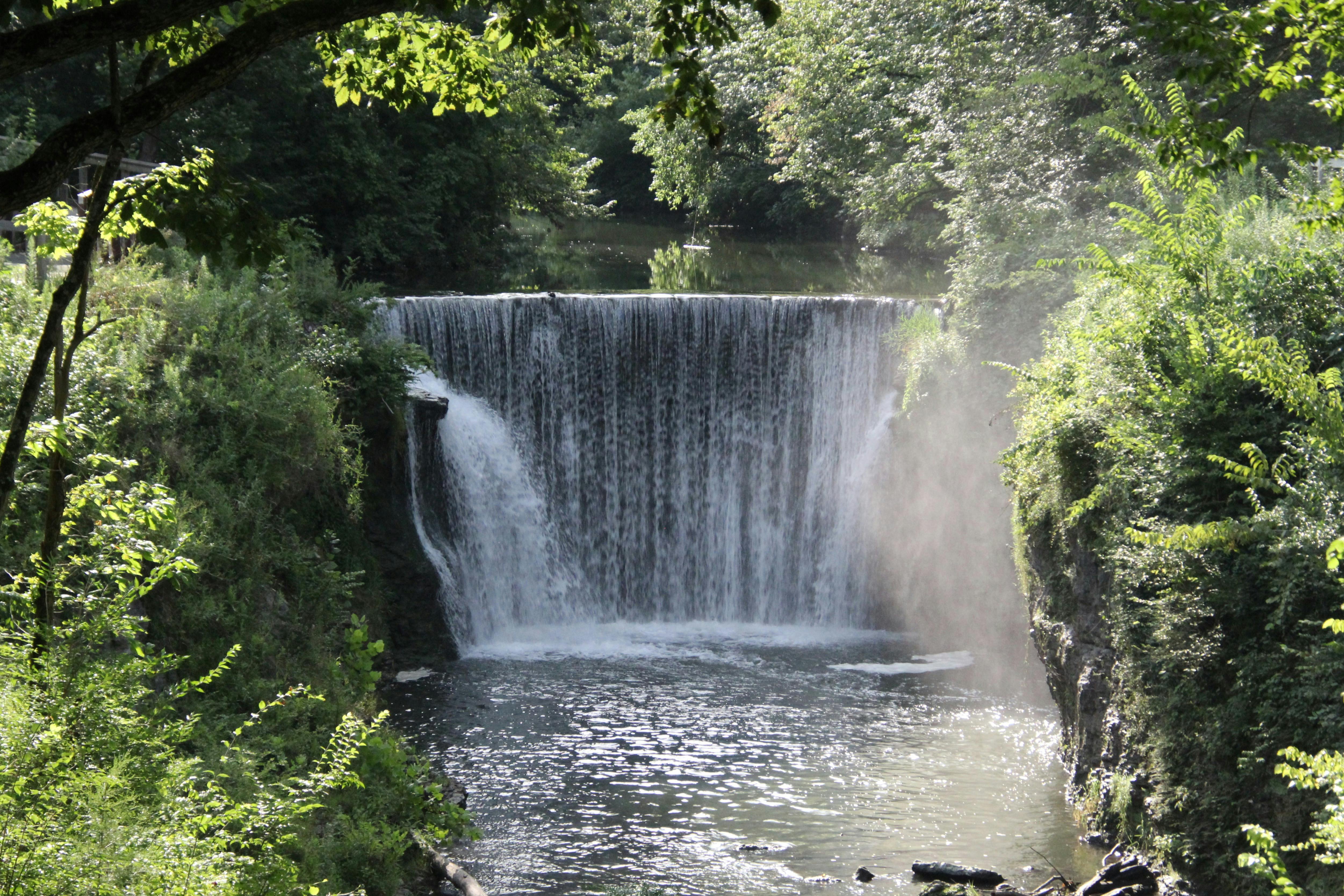Little Falls Declares May 2026 Mental Health Awareness Month — Photo by Sinful on Pexels
