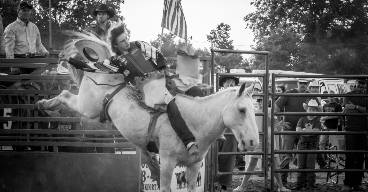 White Rodeo Dynamic Rodeo Bull Riding Scene in Black and White · Free Stock Photo