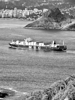 Black and white image of an MSC container ship navigating near a coastal city with hills.