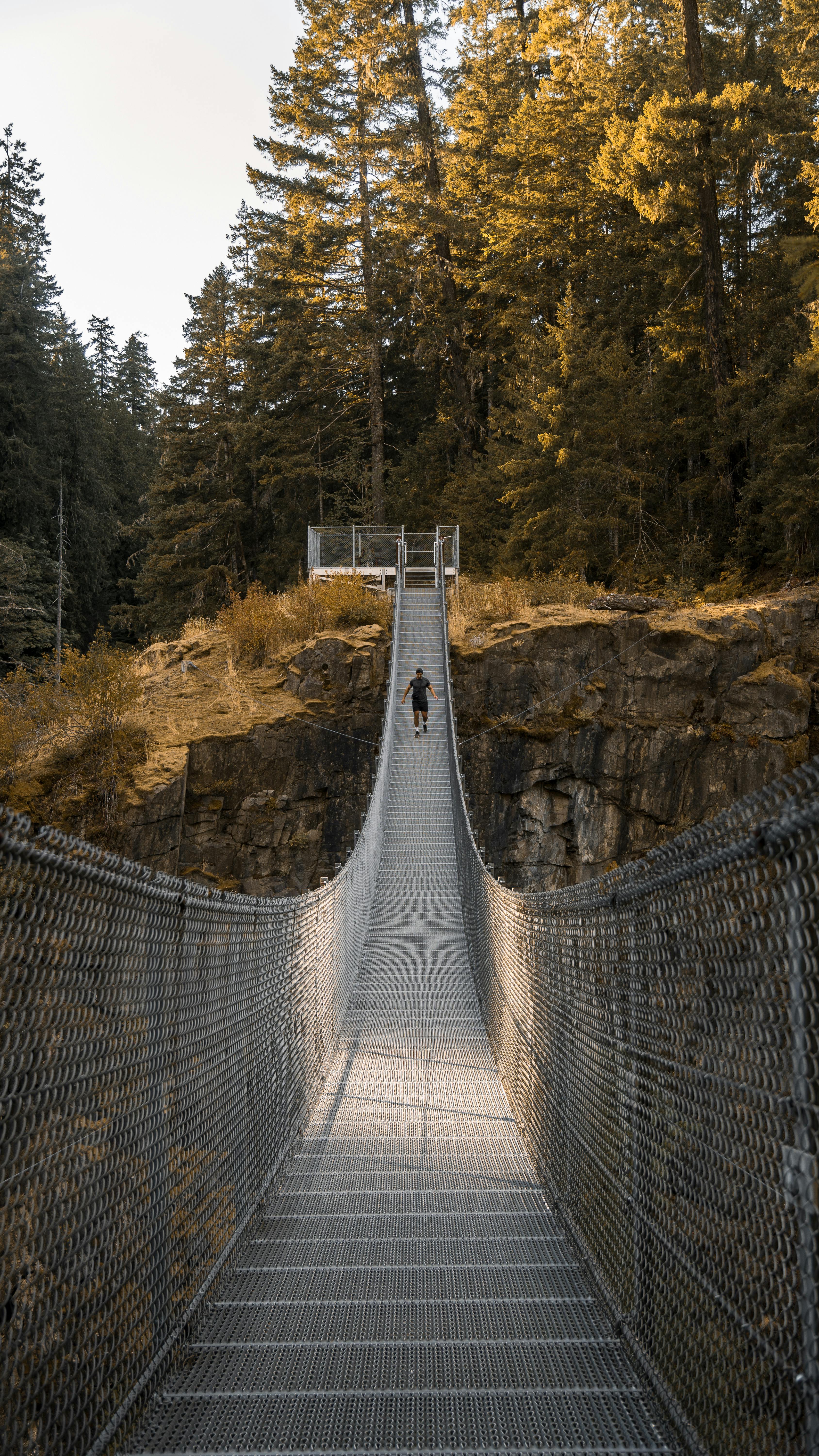 A lone traveler walks across a suspension bridge surrounded by lush forest in Campbell River, BC.