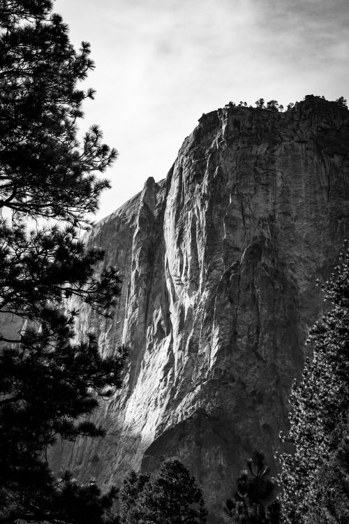 Free Majestic black and white view of El Capitan in Yosemite National Park, California. Stock Photo