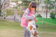 一个年轻的女孩和她的宠物骑士国王查尔斯猎犬在阳光明媚的公园里嬉戏