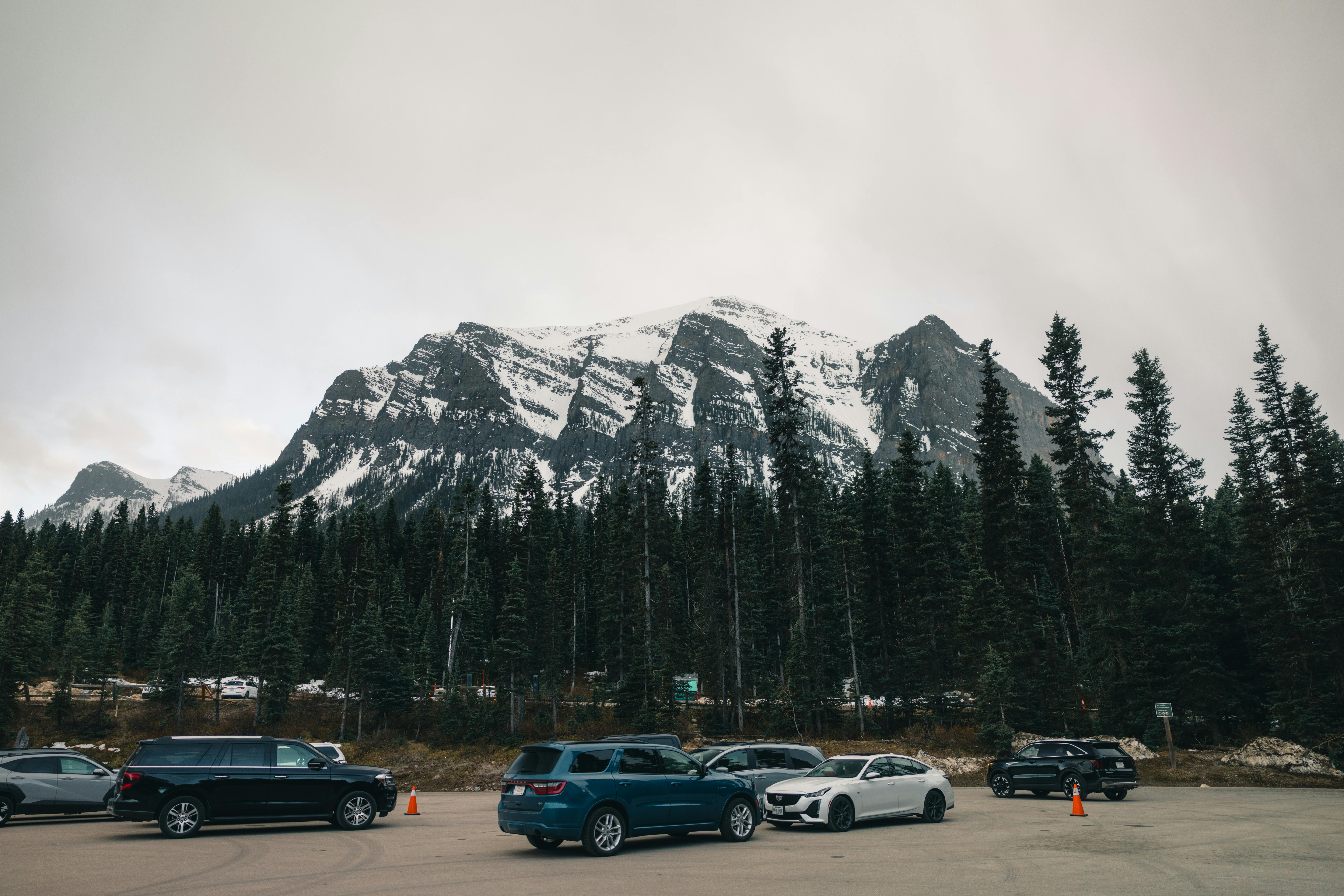 Toyota recalls 550,000 Highlander SUVs because seat backs may fail to lock — Photo by Ali Kazal on Pexels